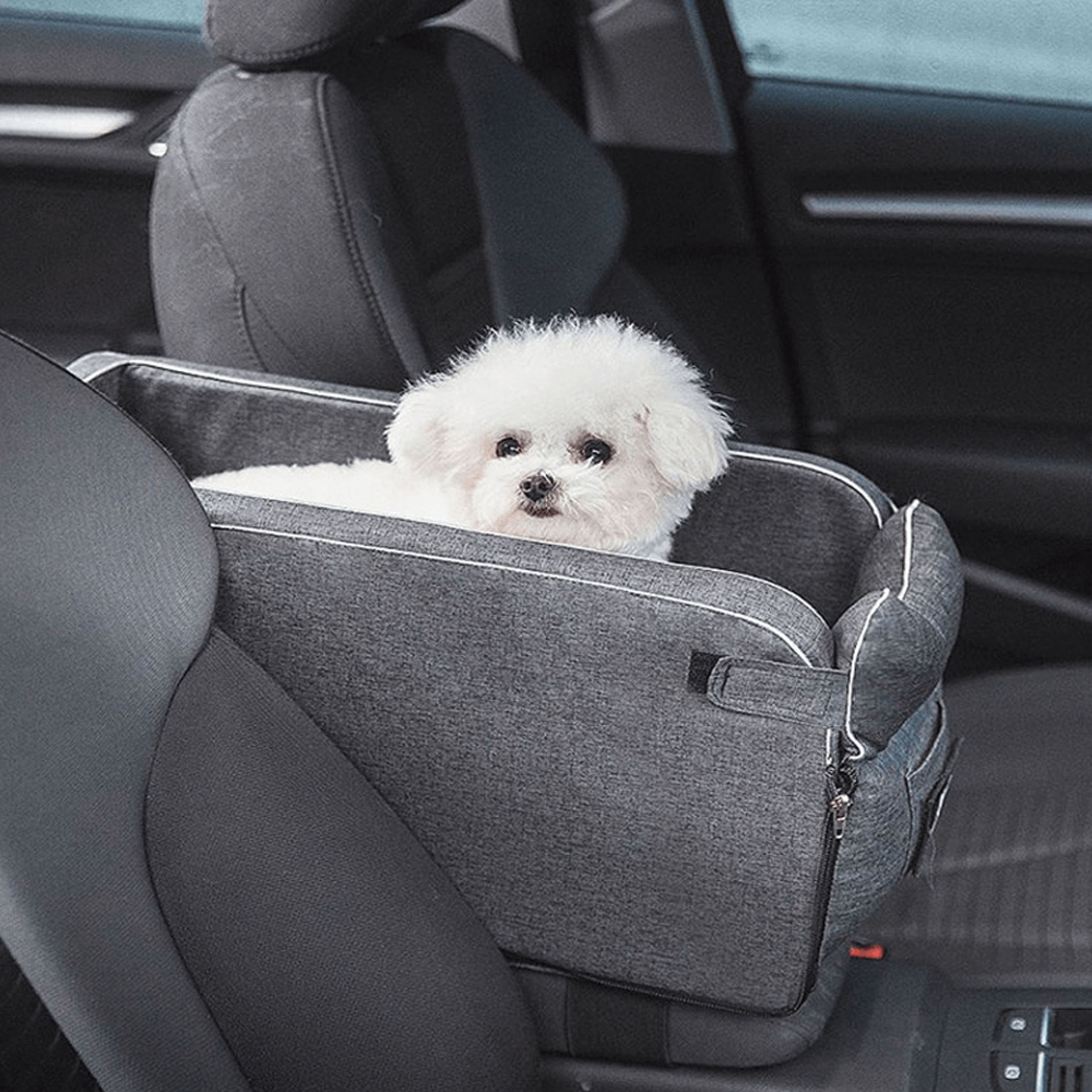 snuggly safe puppy car seat