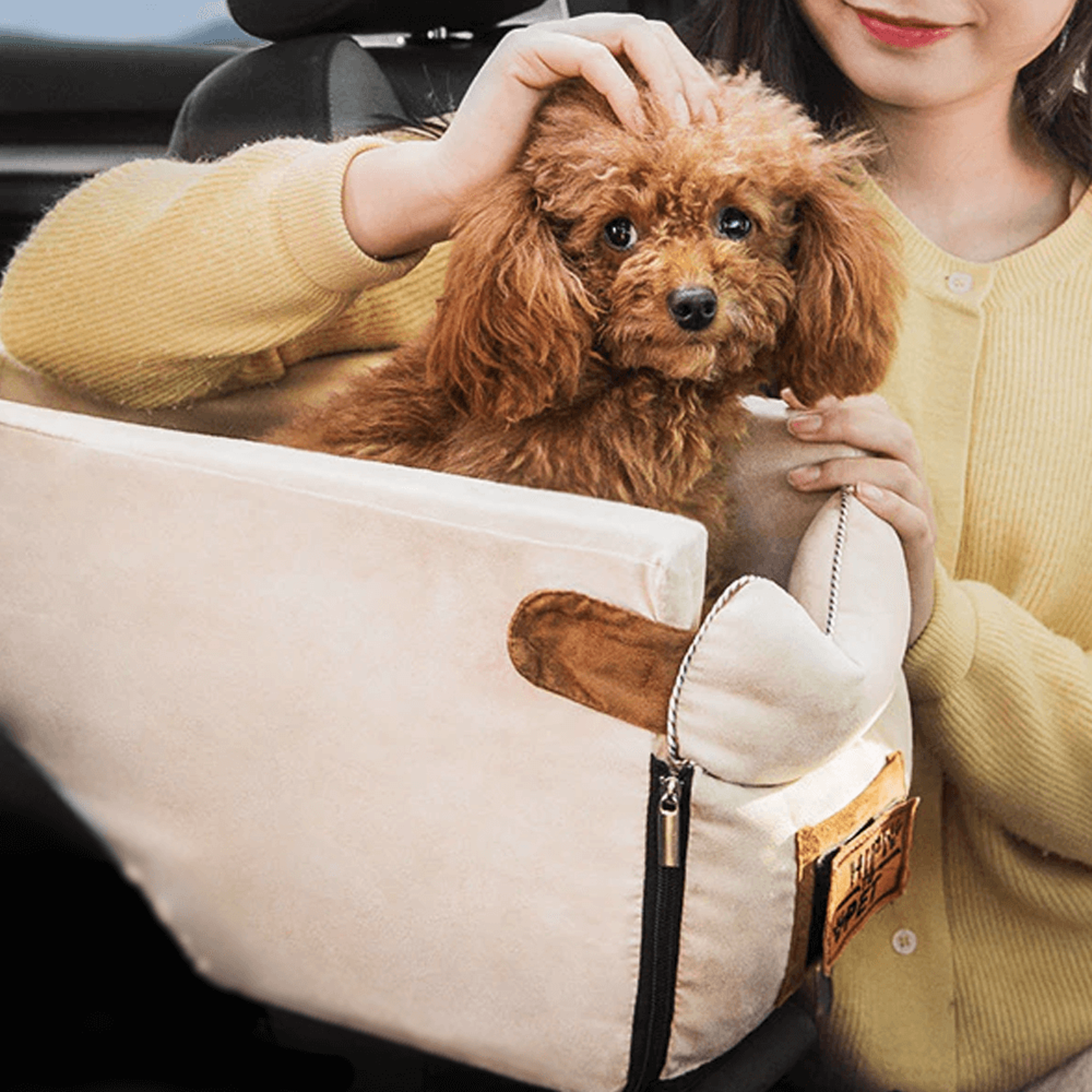 car seat for small dog