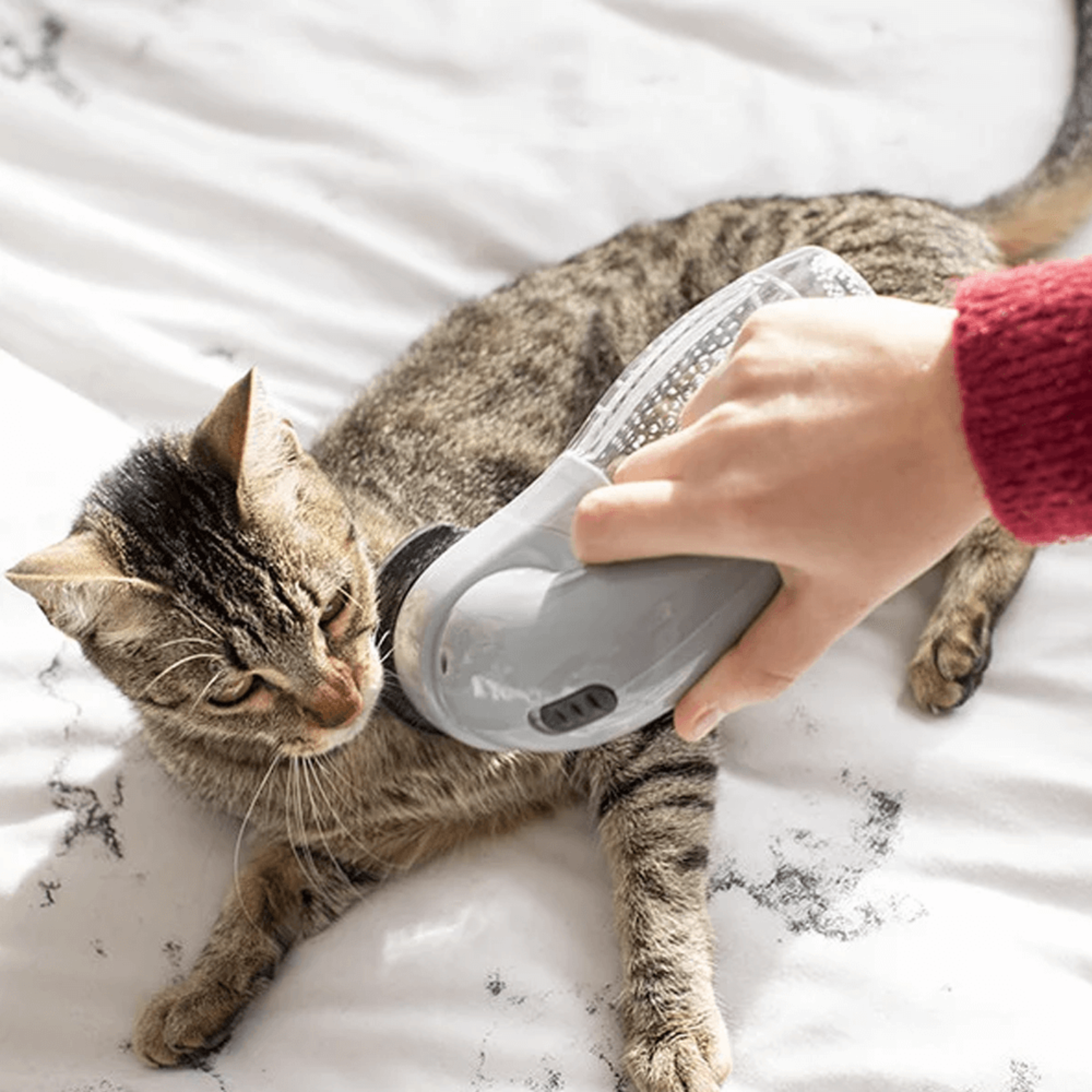 handheld vacuum for pet hair