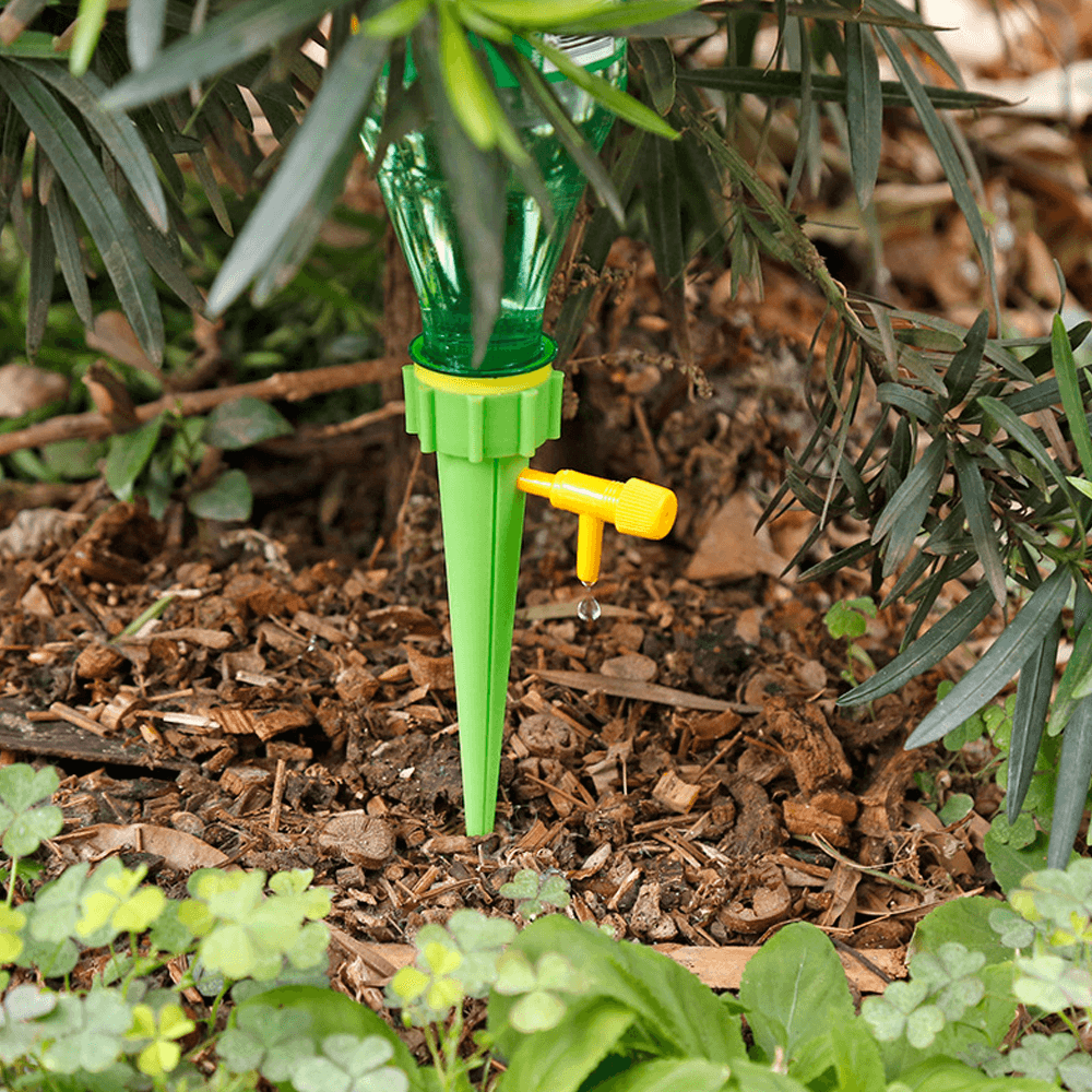 self-watering spikes for plants