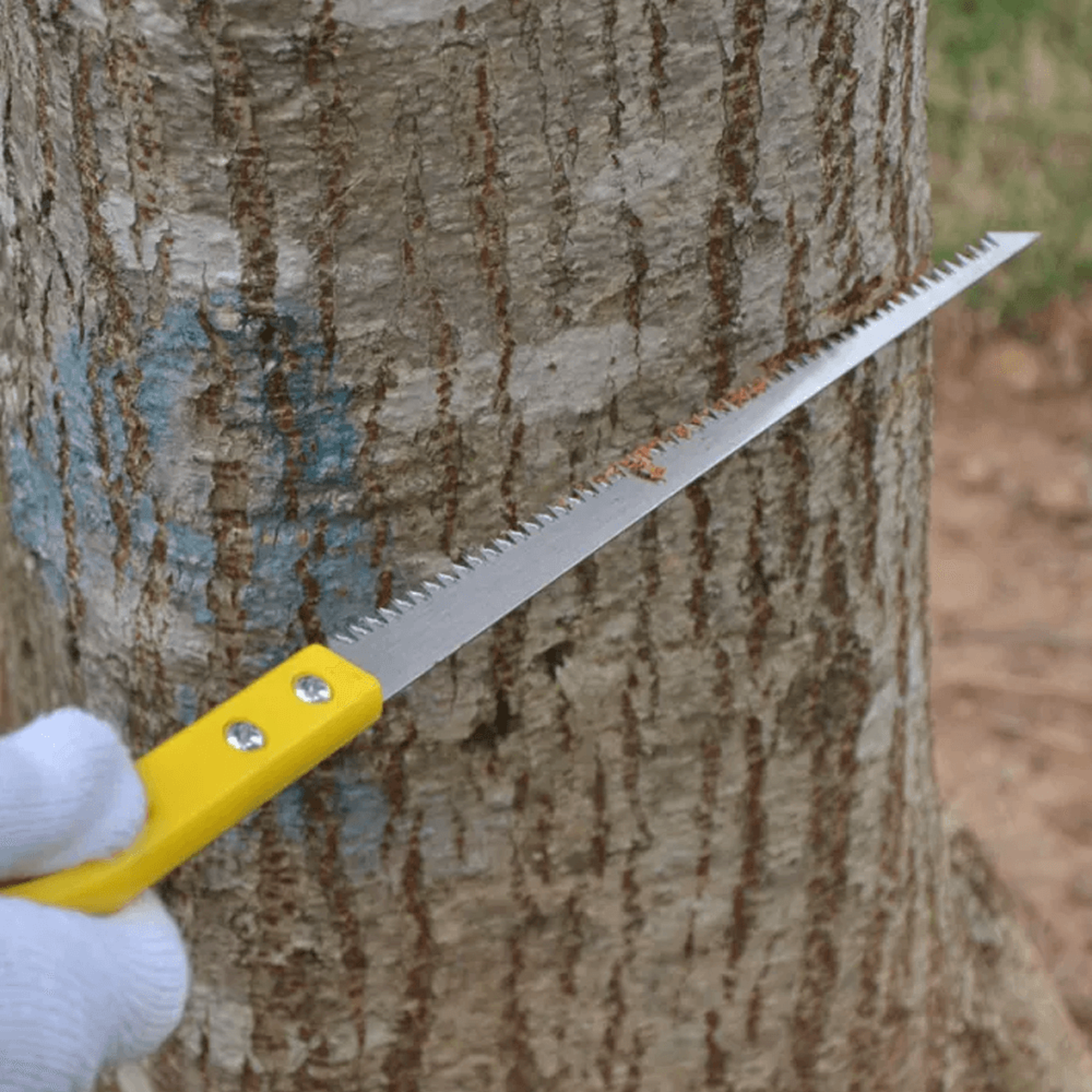 outdoor portable hand saw