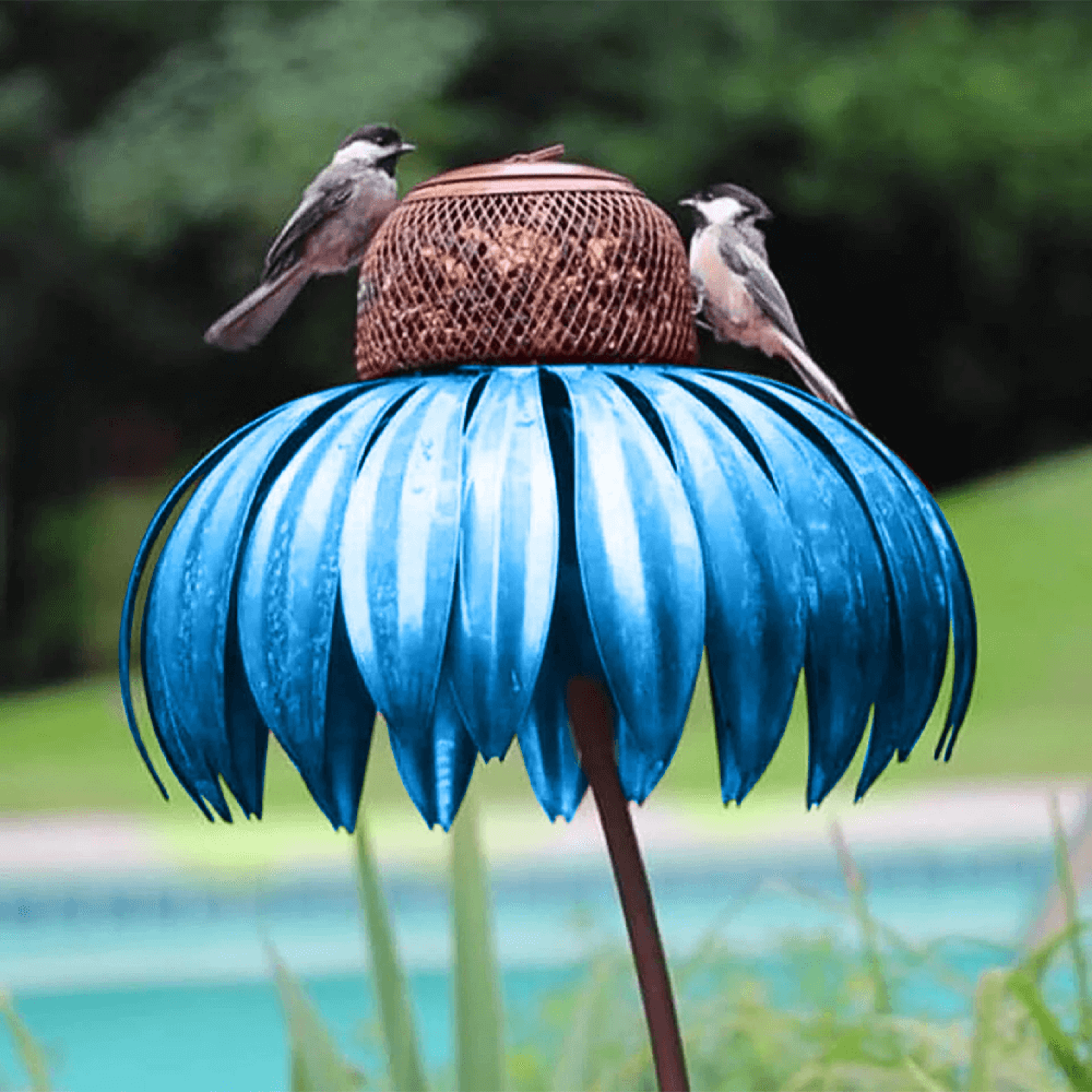 coneflower bird feeder