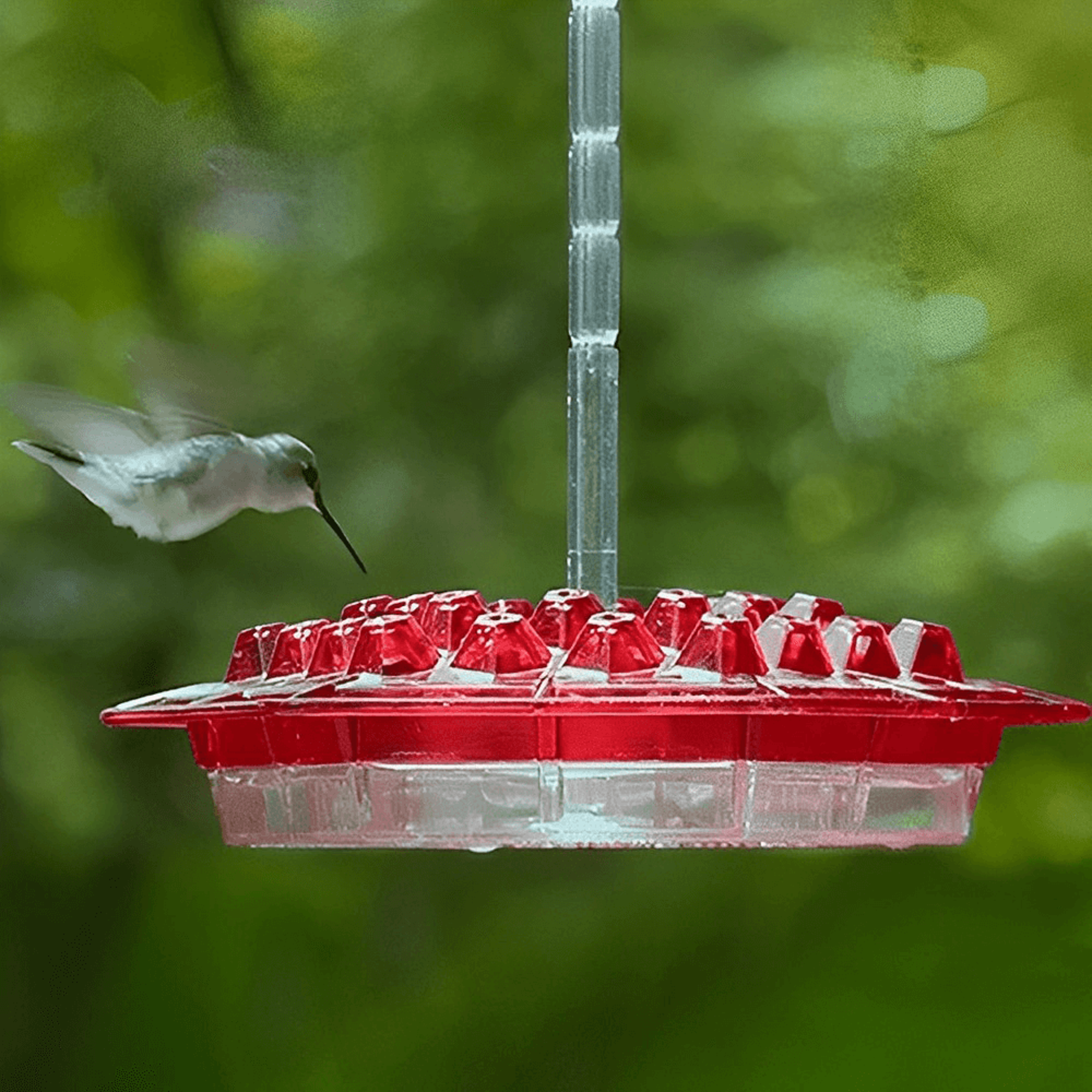 ant proof hummingbird feeder | mary's hummingbird feeder with 30 tubes | mary's sweety hummingbird feeder