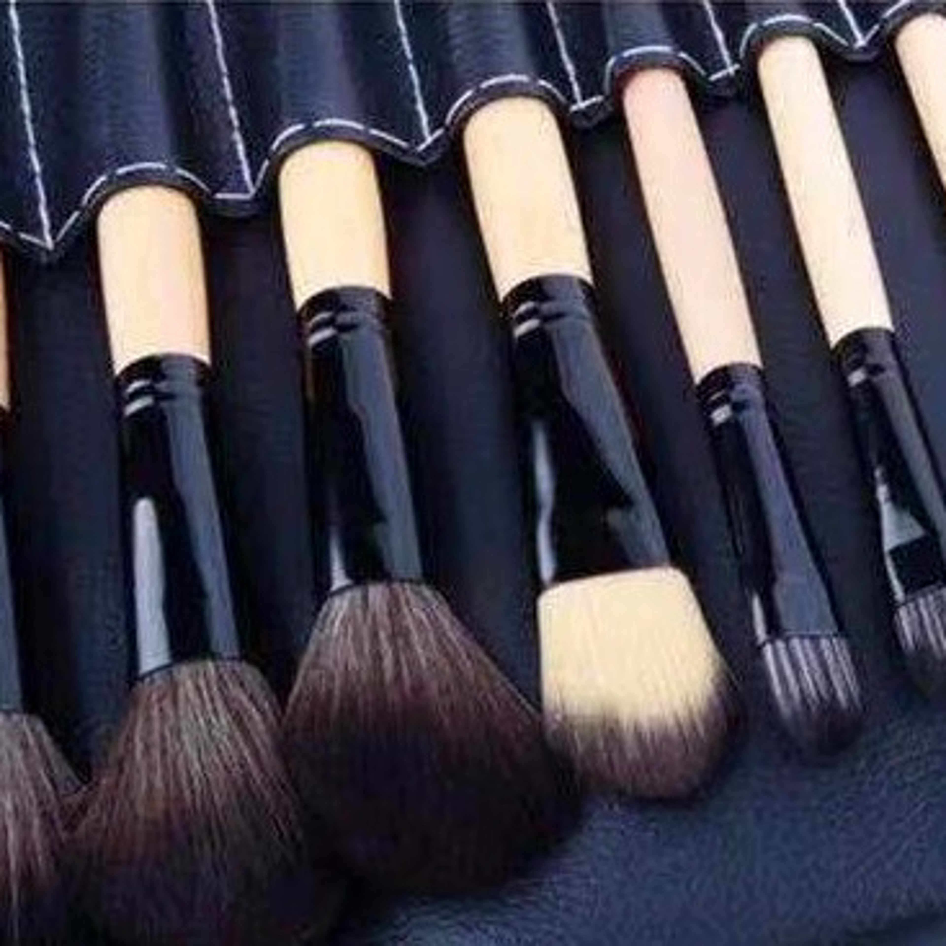 professional makeup brushes set