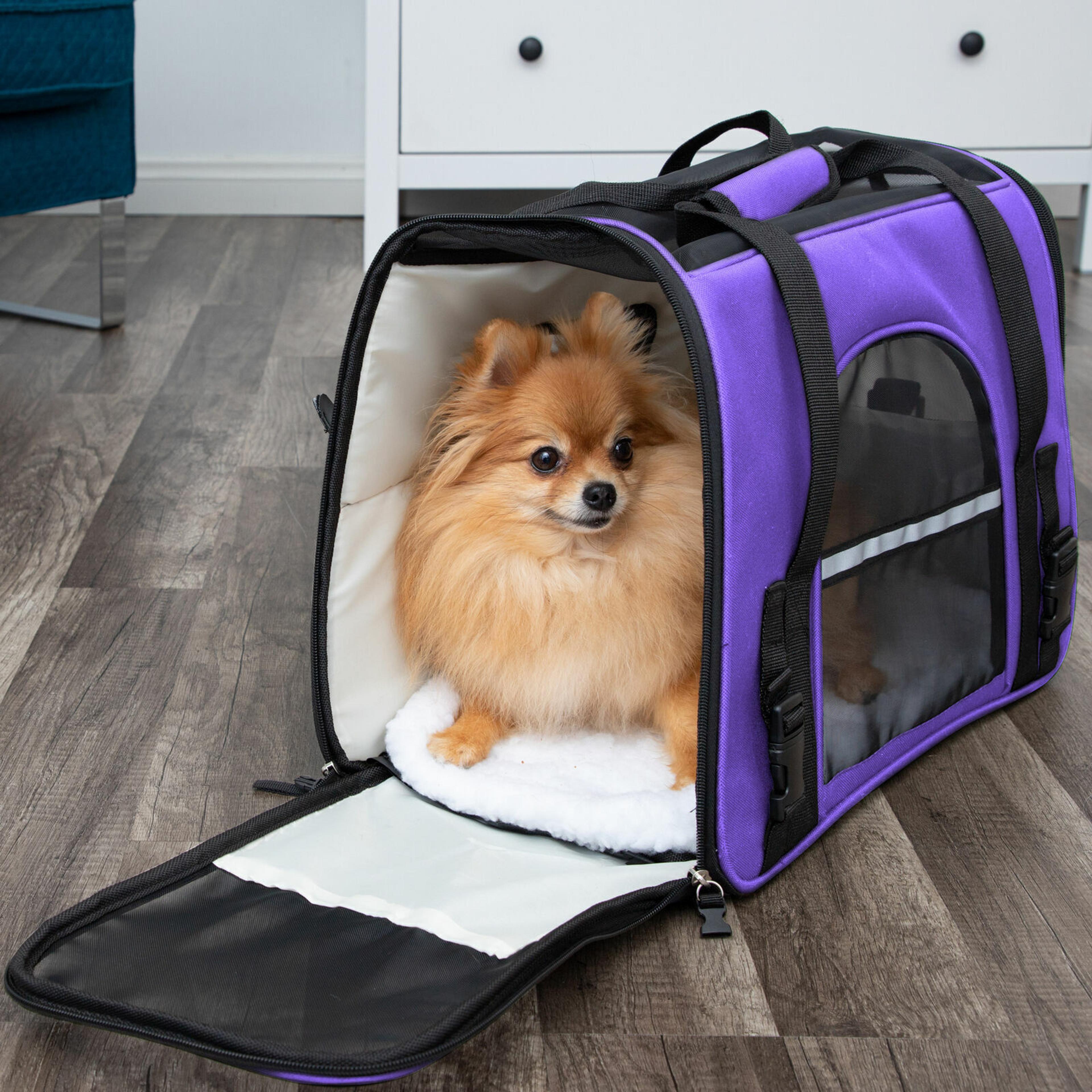soft-sided pet carrier for cats and dogs