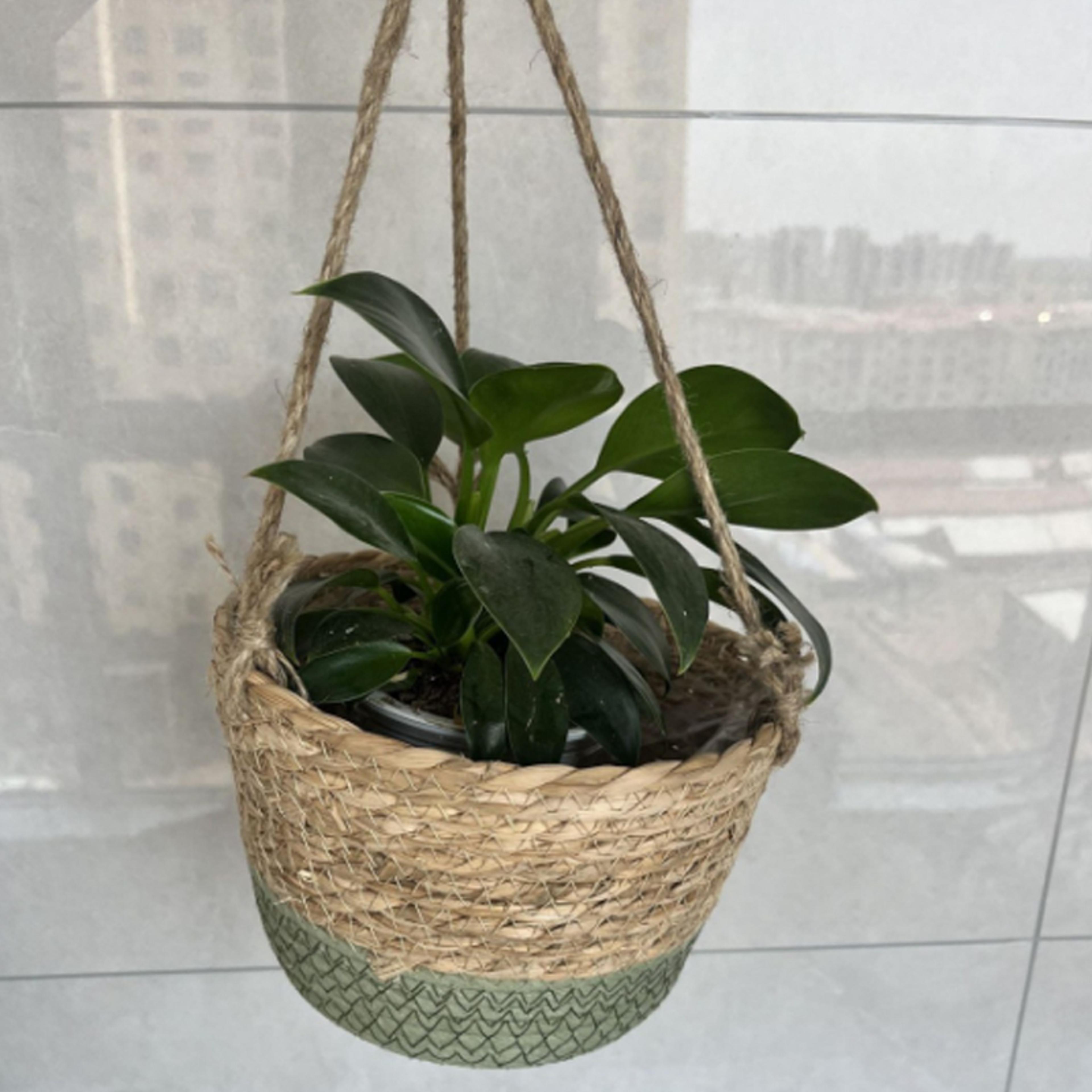 straw woven hanging flower pot eco friendly hanging basket for indoor & outdoor plant decoration