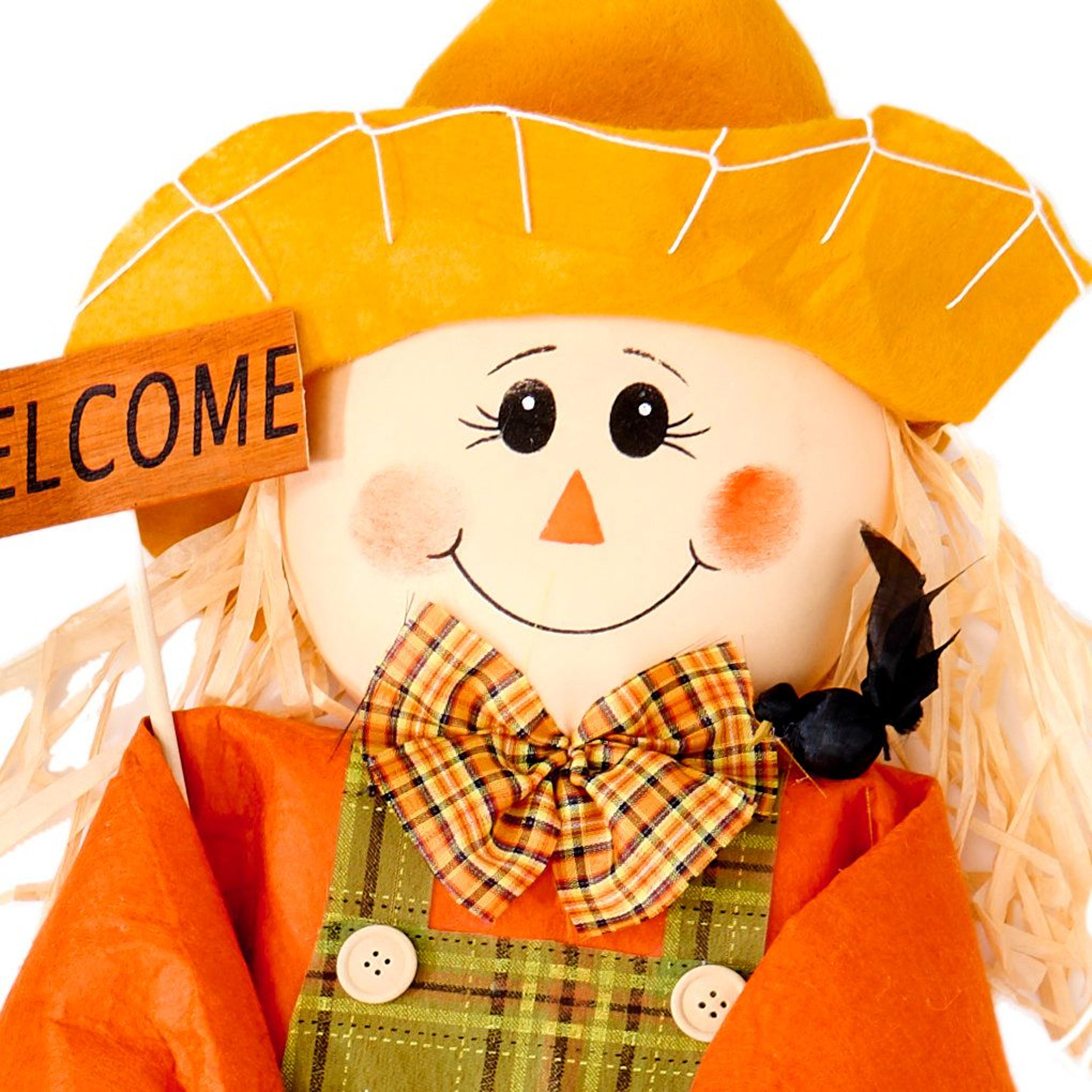 fall scarecrow yard decorations with welcome signs