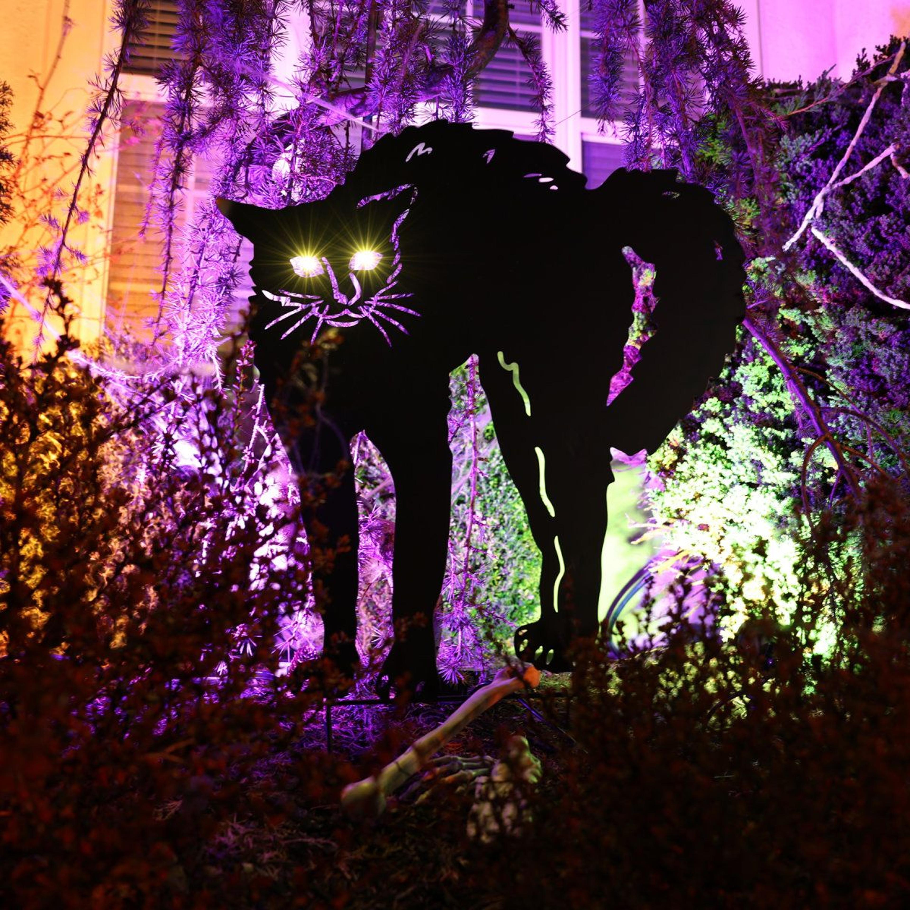 LED Black Cat Halloween Decoration With Light Up Eyes 1