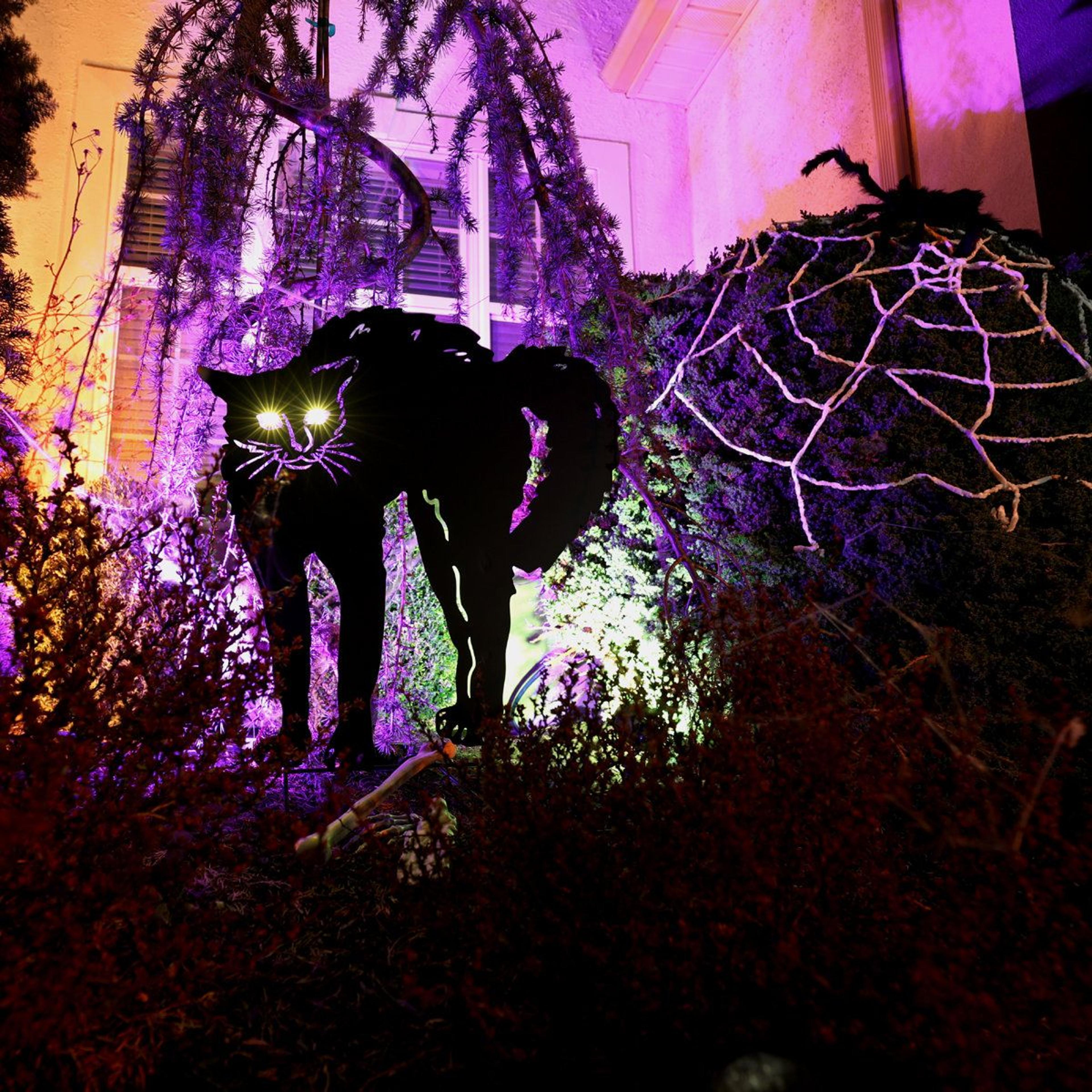LED Black Cat Halloween Decoration With Light Up Eyes 2