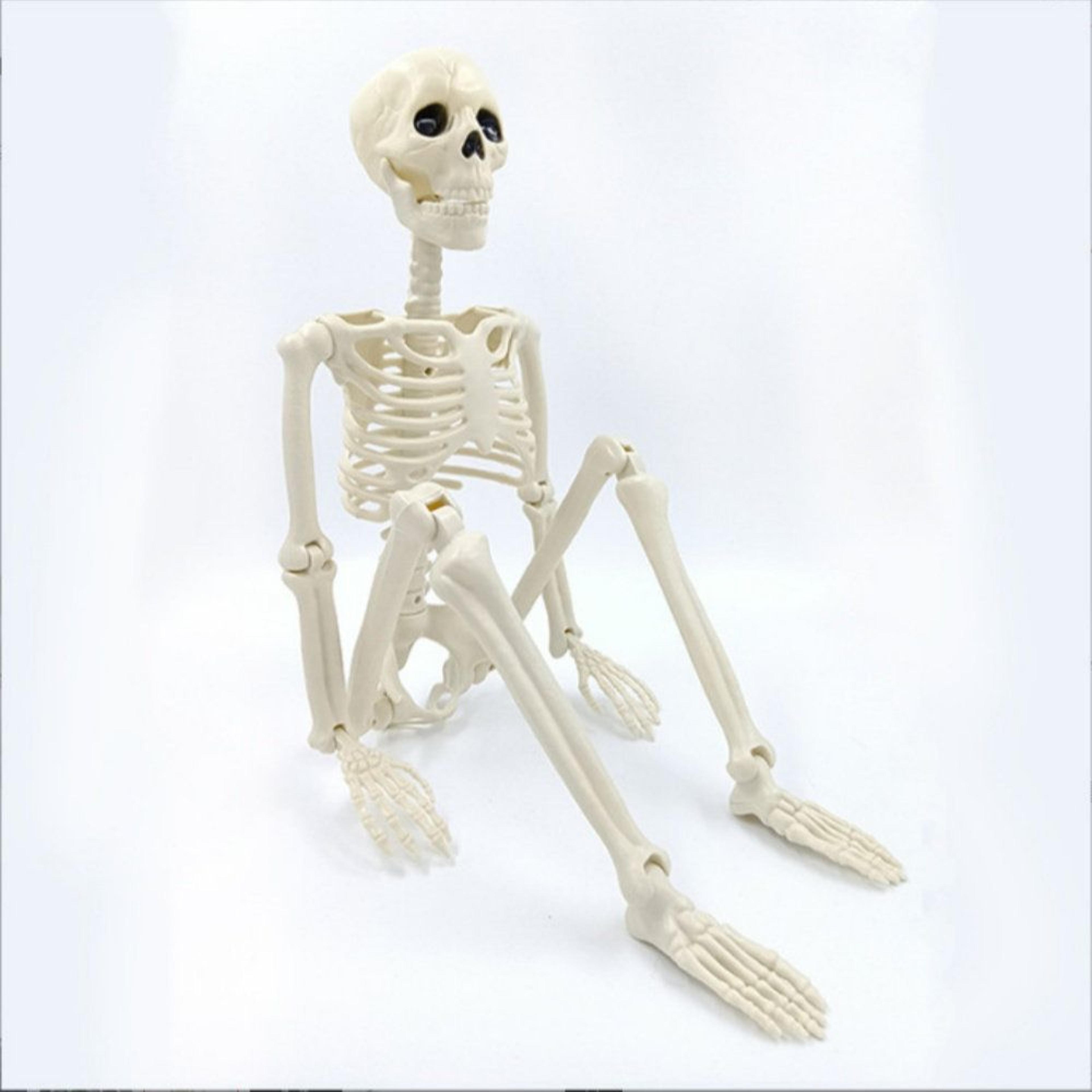 Halloween Skeleton Decoration With Posable Joints And Full Body Design 3