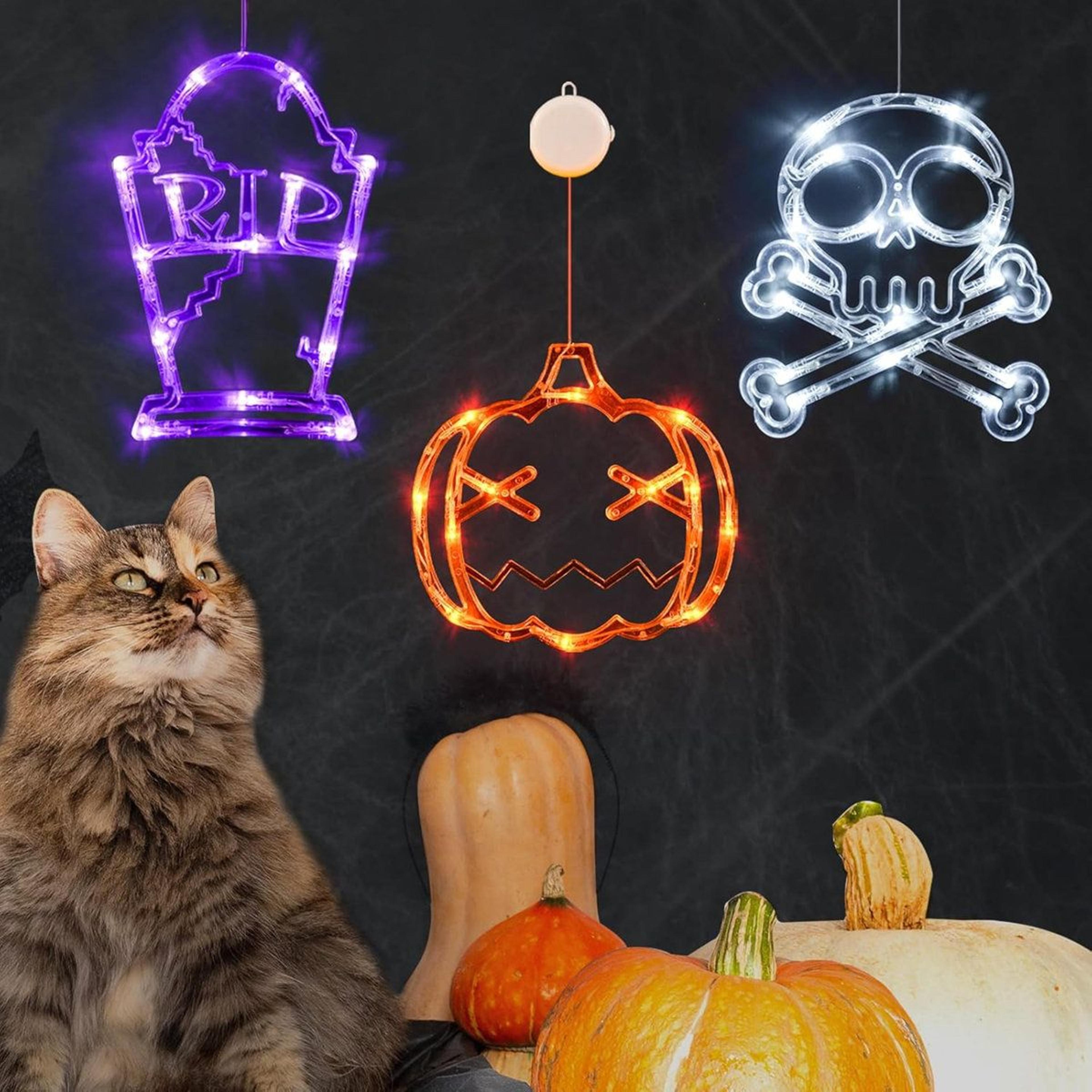Halloween Window Lights With Pumpkin Skull And Tombstone Designs 5