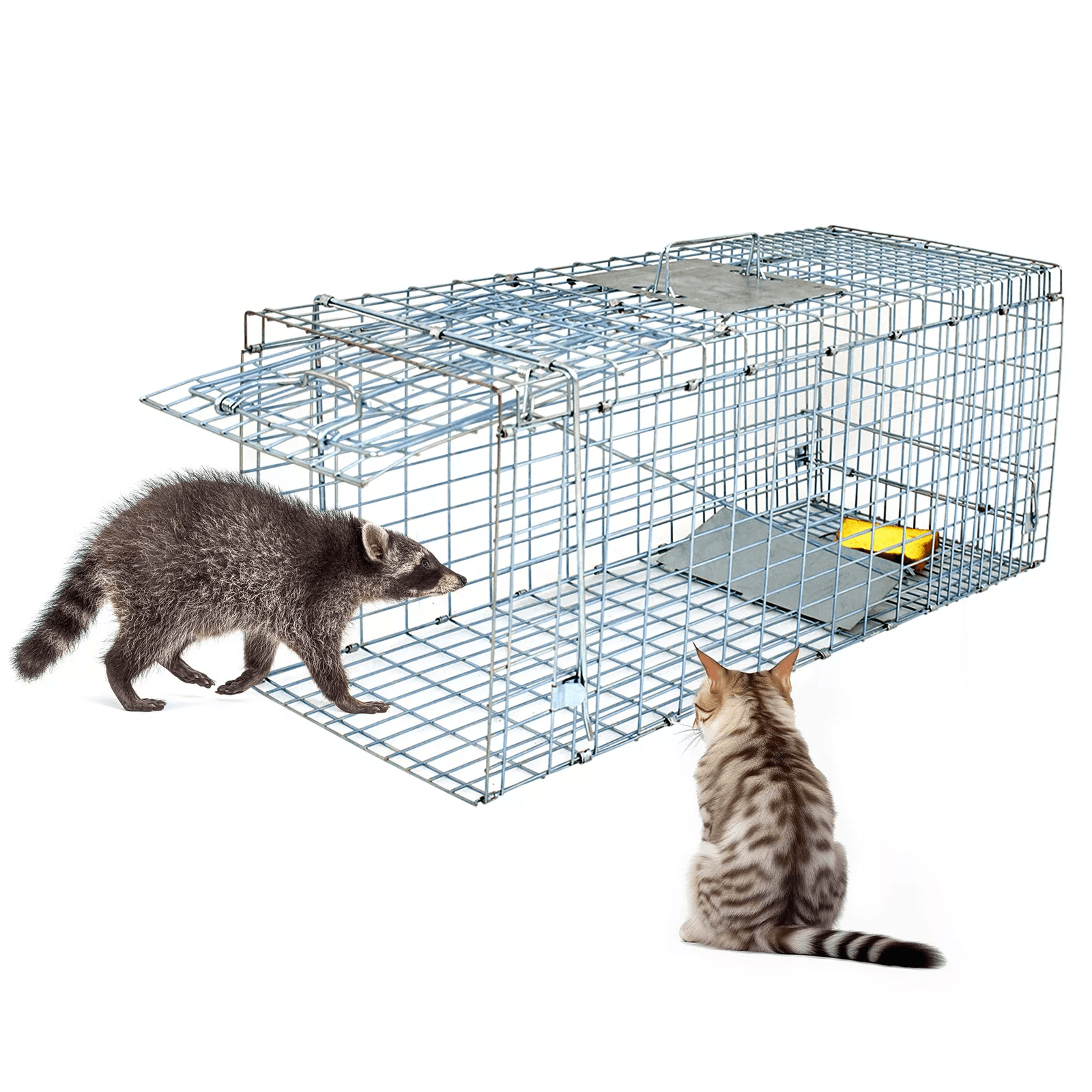 heavy duty folding live animal trap, humane raccoon, cat & small animal cage
