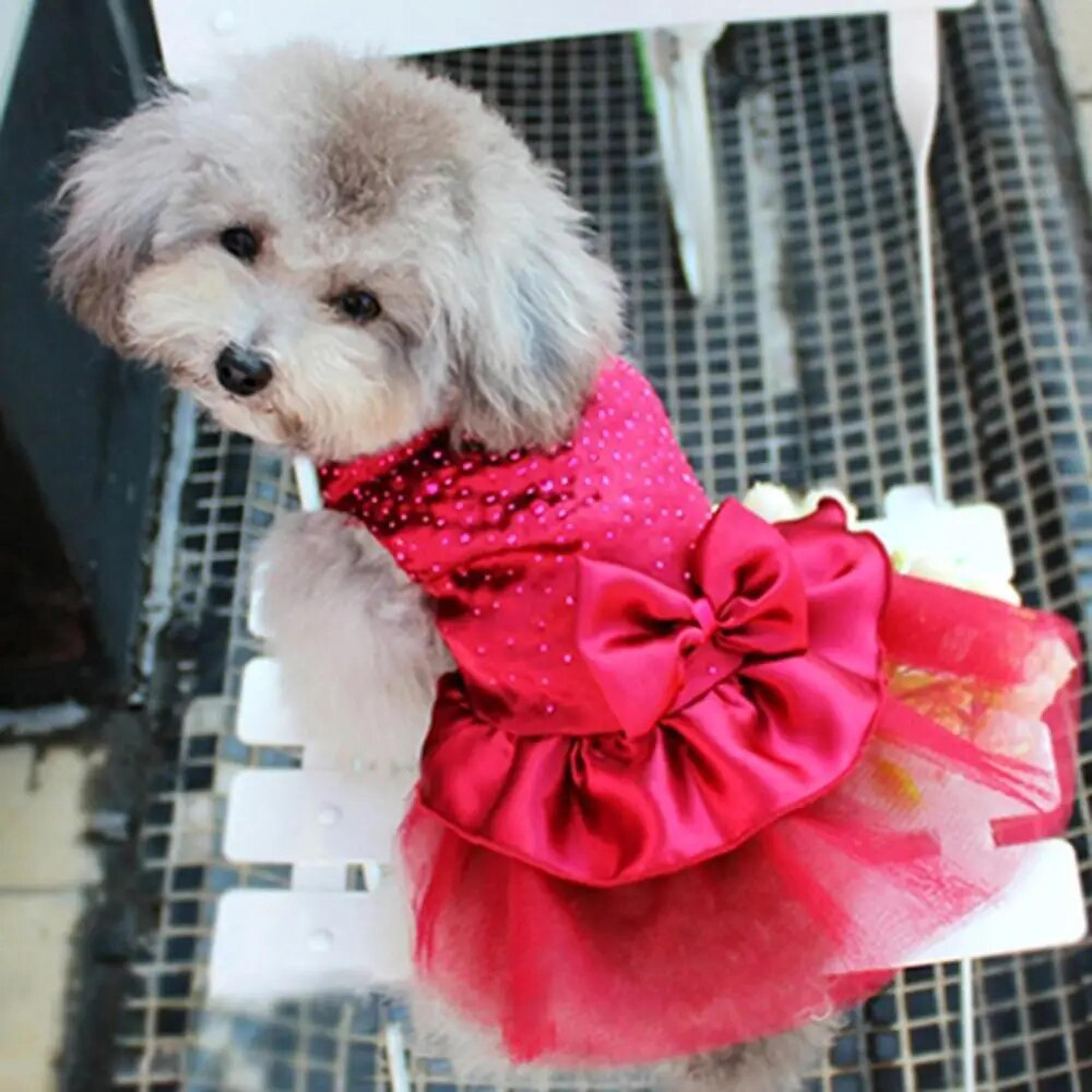 pet dog puppy bow gauze skirt sequin princess clothes: party evening dress