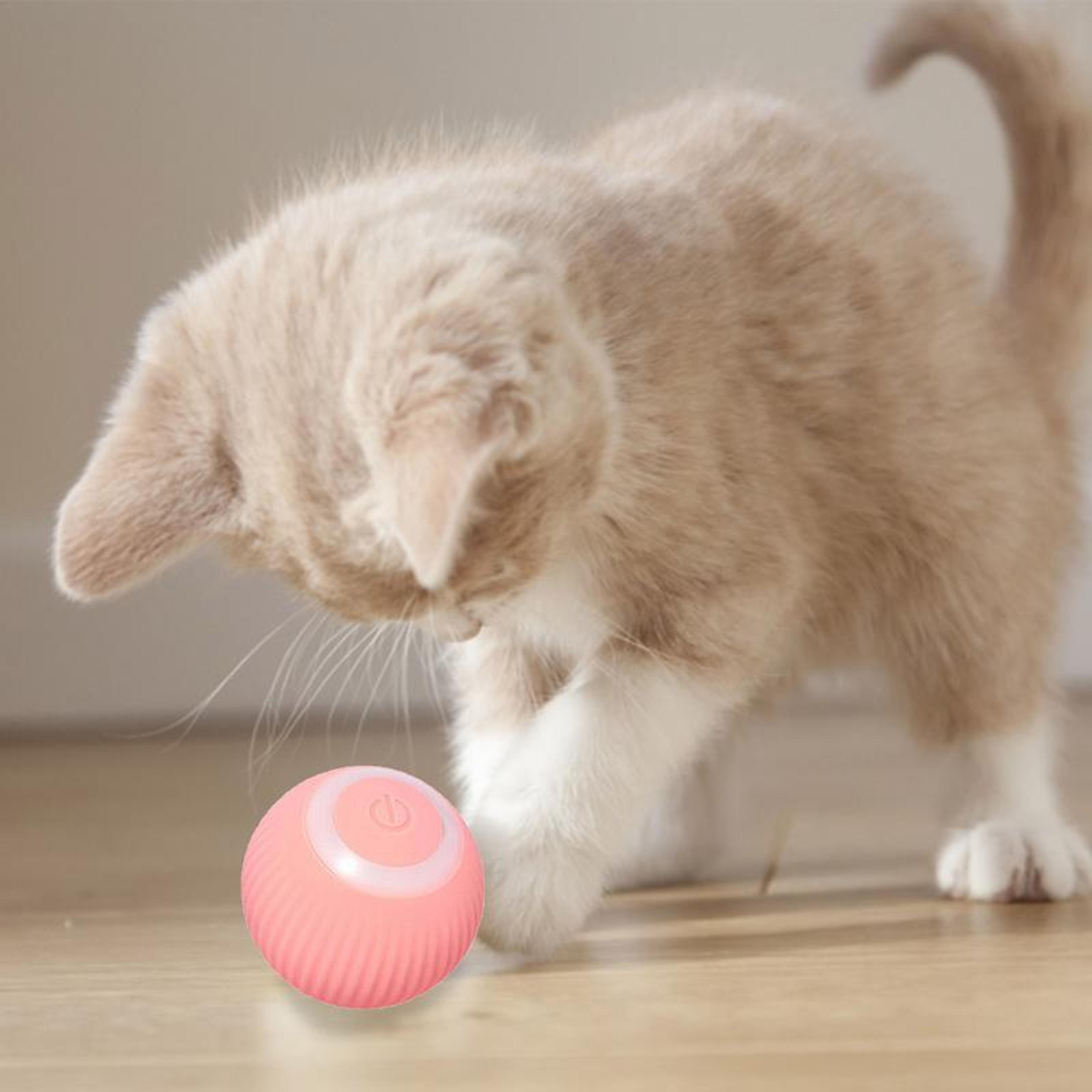 electric cat ball: smart interactive toy for indoor cats