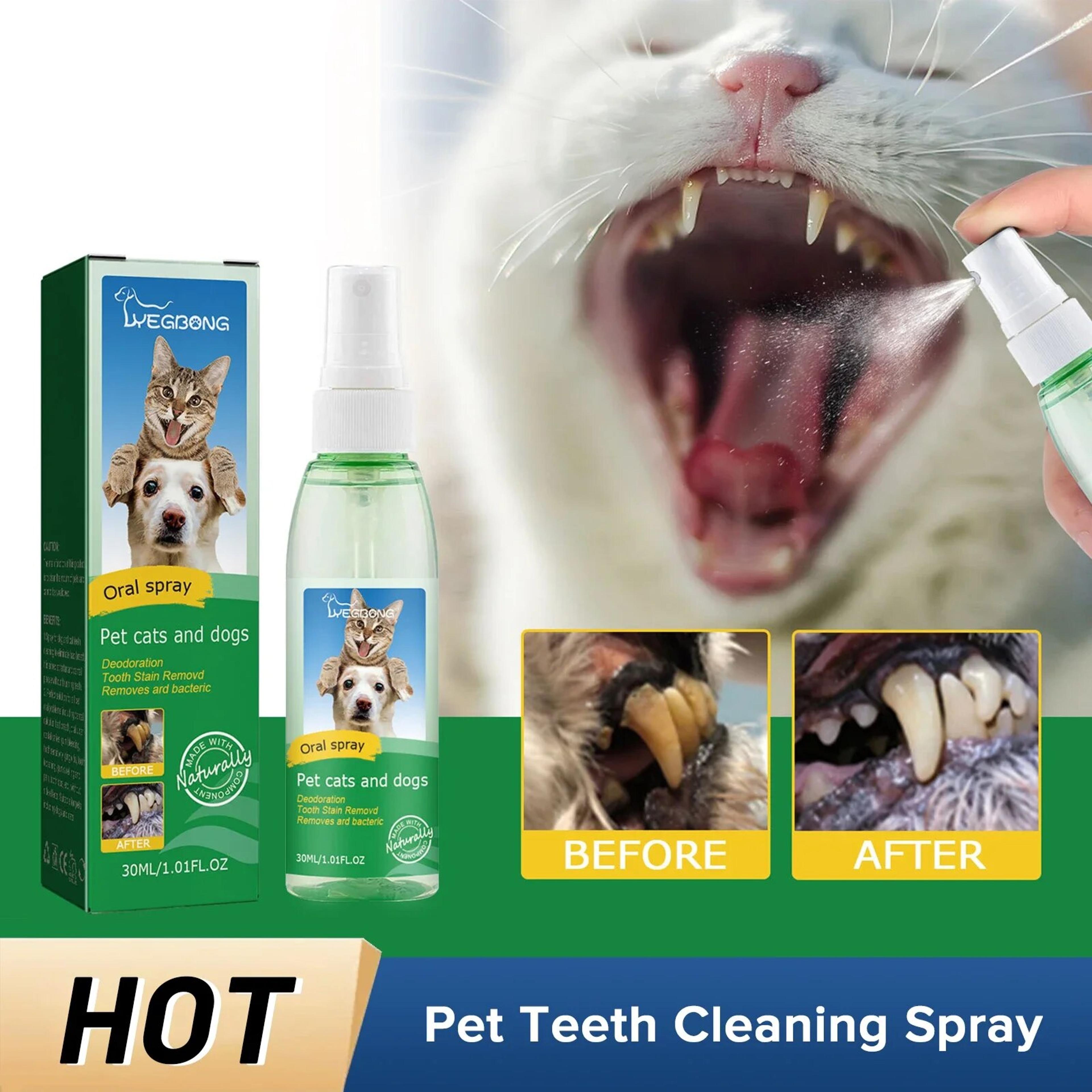 pet teeth cleaning spray: tartar remover for dogs & cats