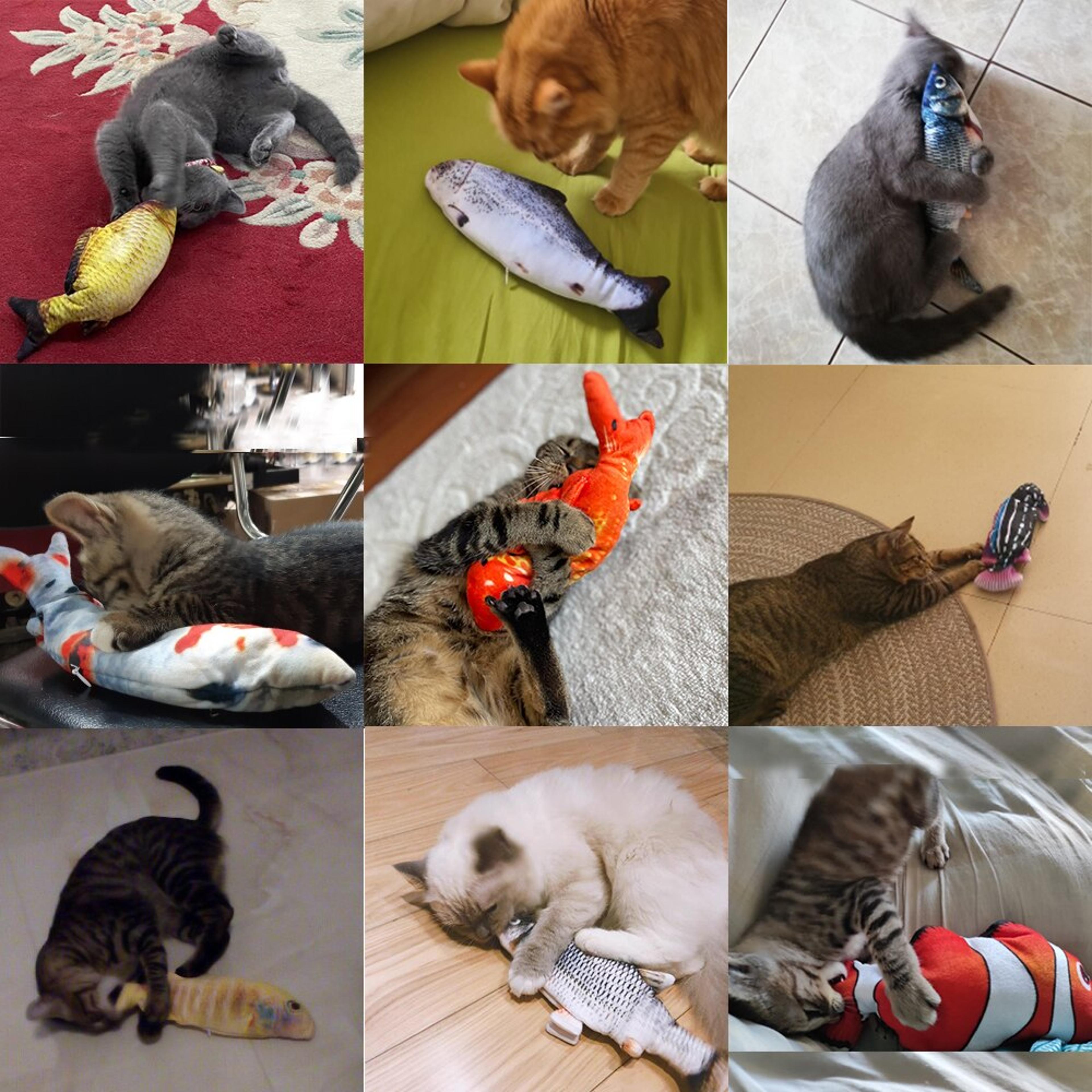 AMChPet-Fish-Toy-Soft-Plush-Toy-USB-Charger-Fish-Cat-3D-Simulation-Dancing-Wiggle-Interaction-Supplies.jpg