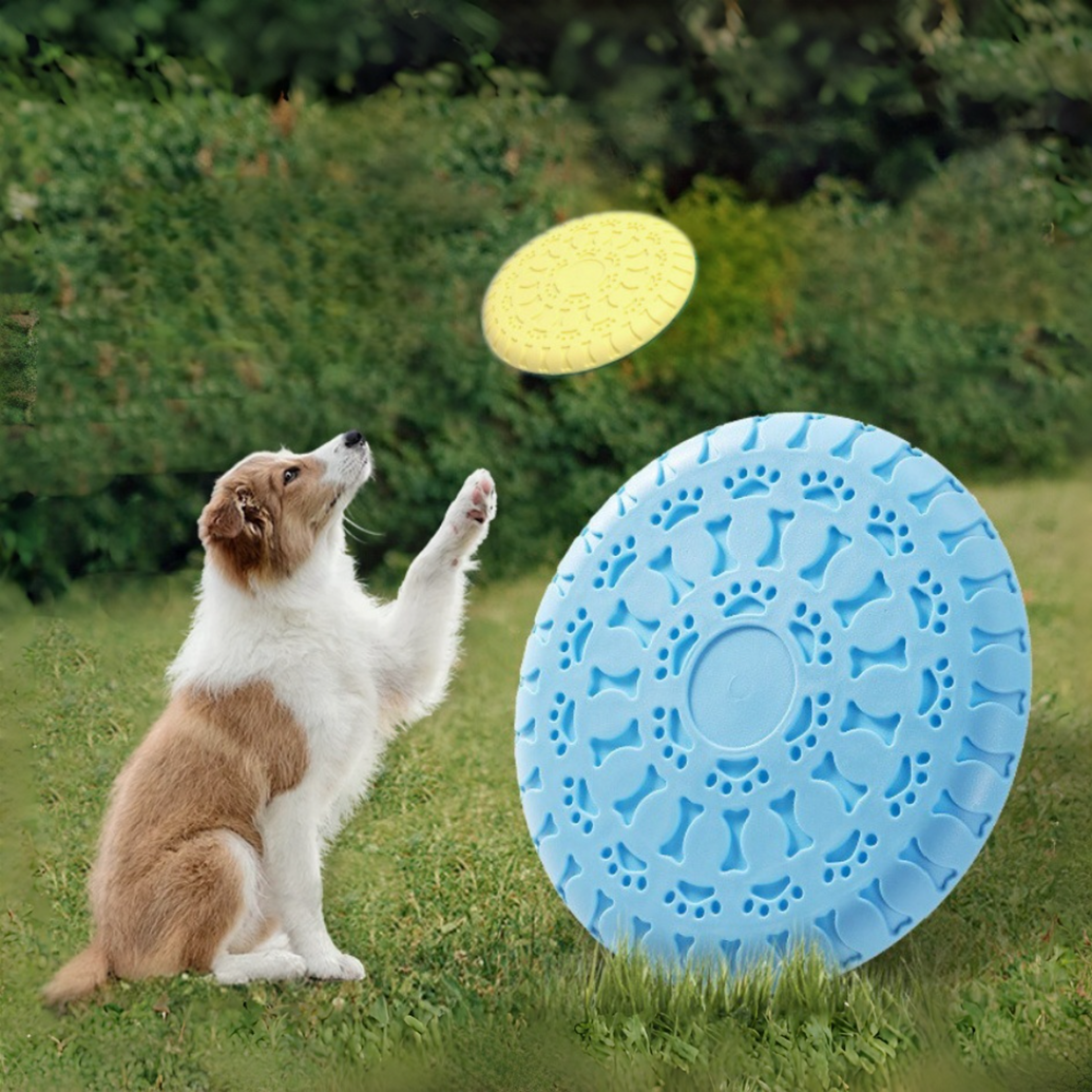durable flying disc for dogs chew proof interactive frisbee for aggressive chewers, fetch & training toy