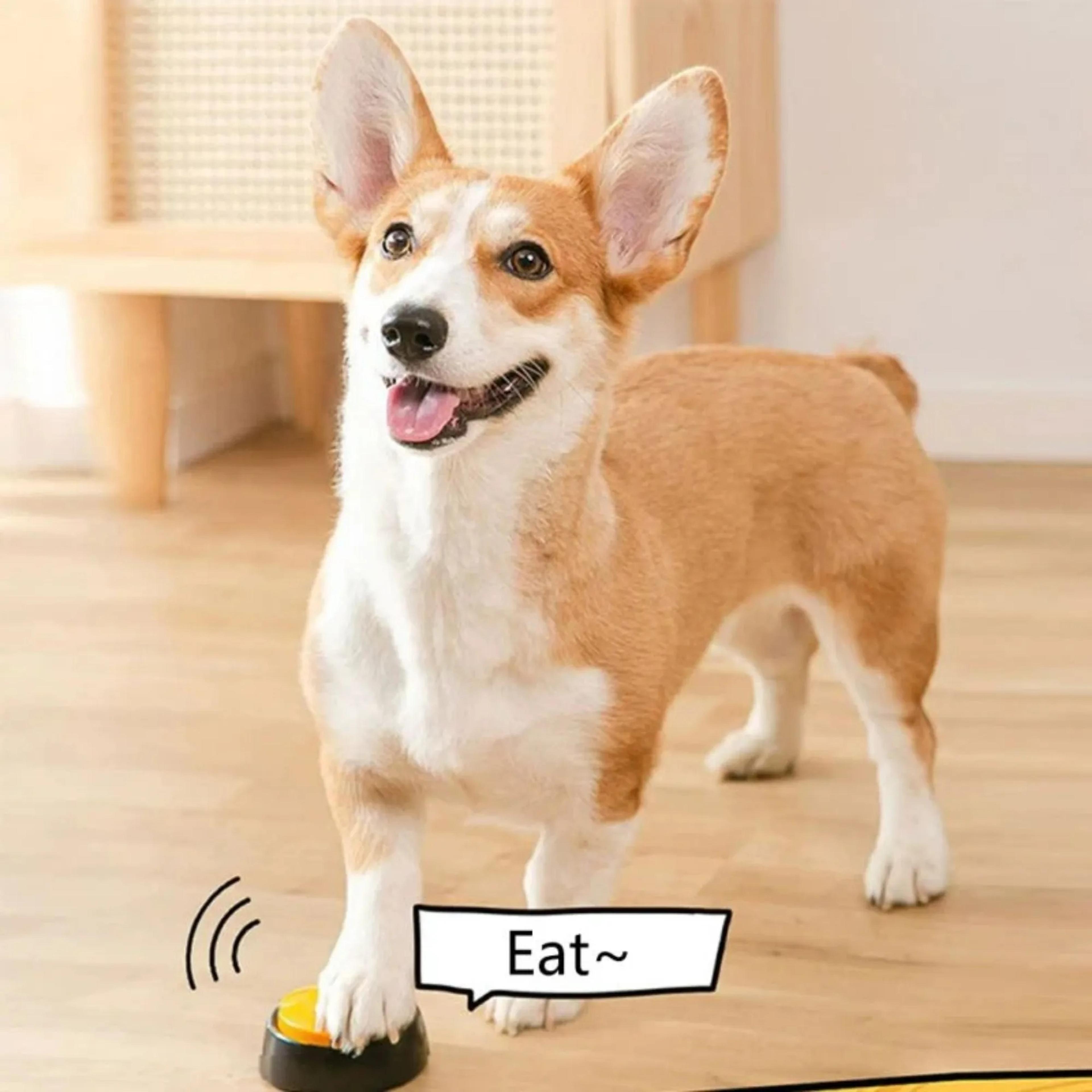 recordable dog communication buttons talking pet training buzzer