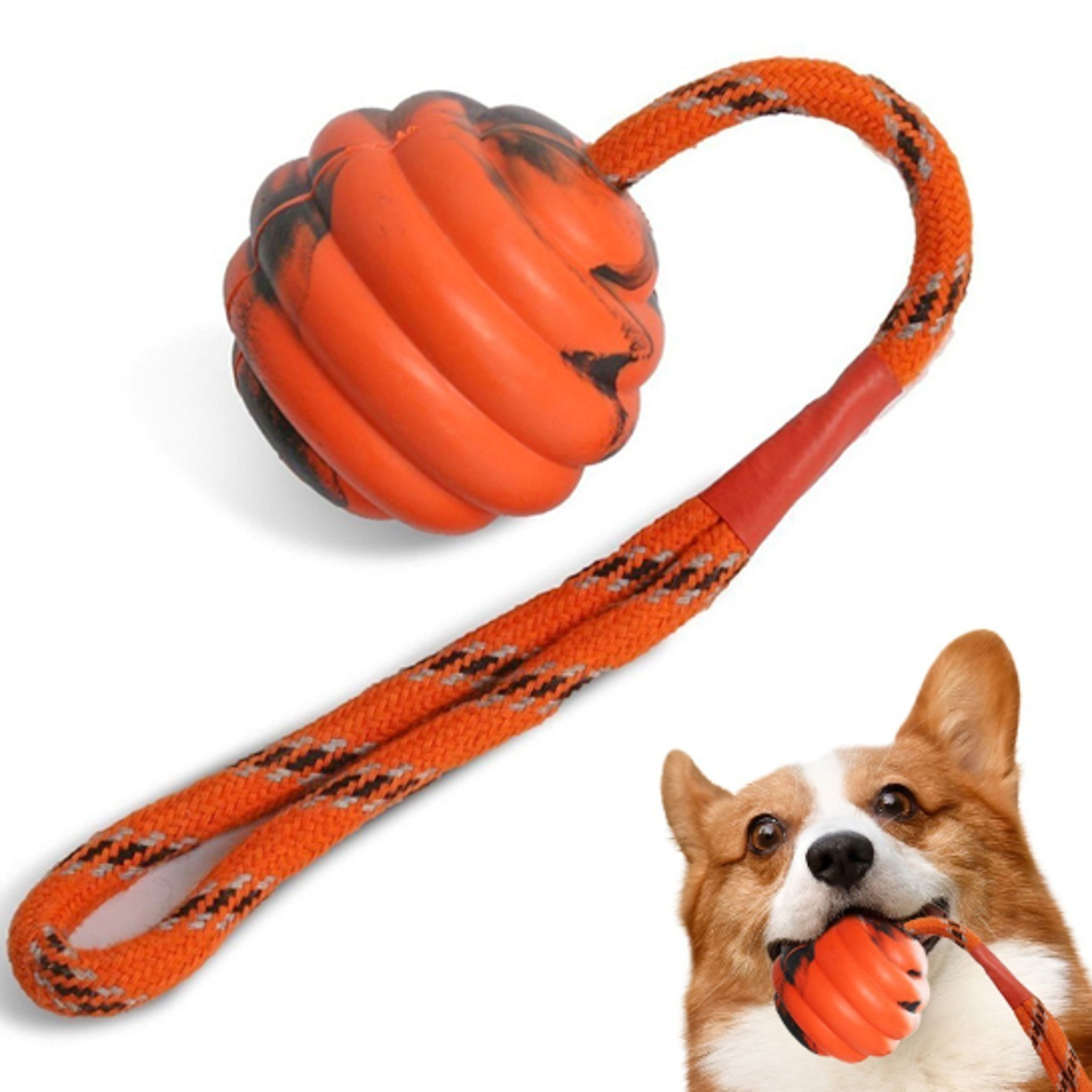 natural rubber dog ball on rope training toy for fetch and tug