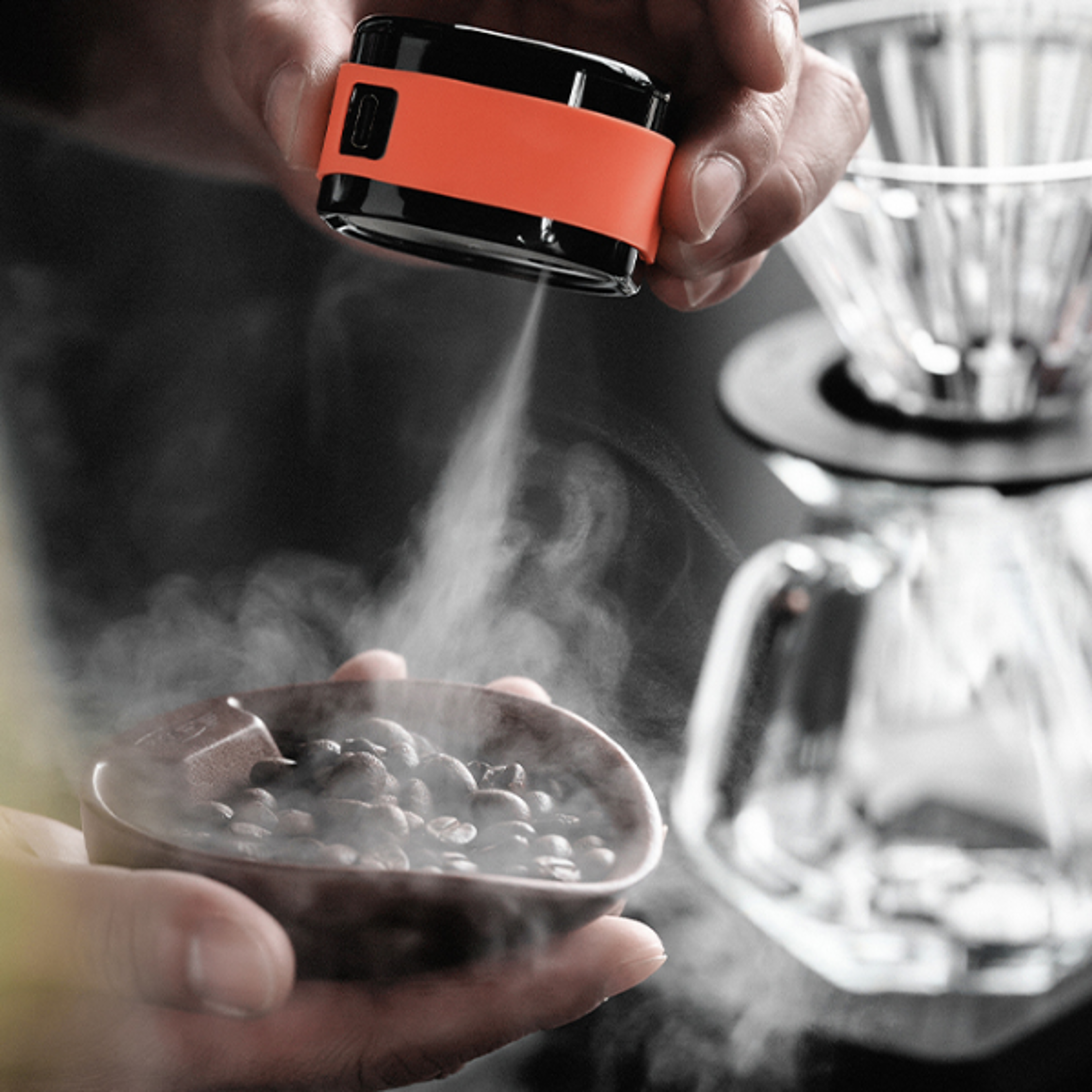 anti static coffee bean atomizer sprayer for espresso