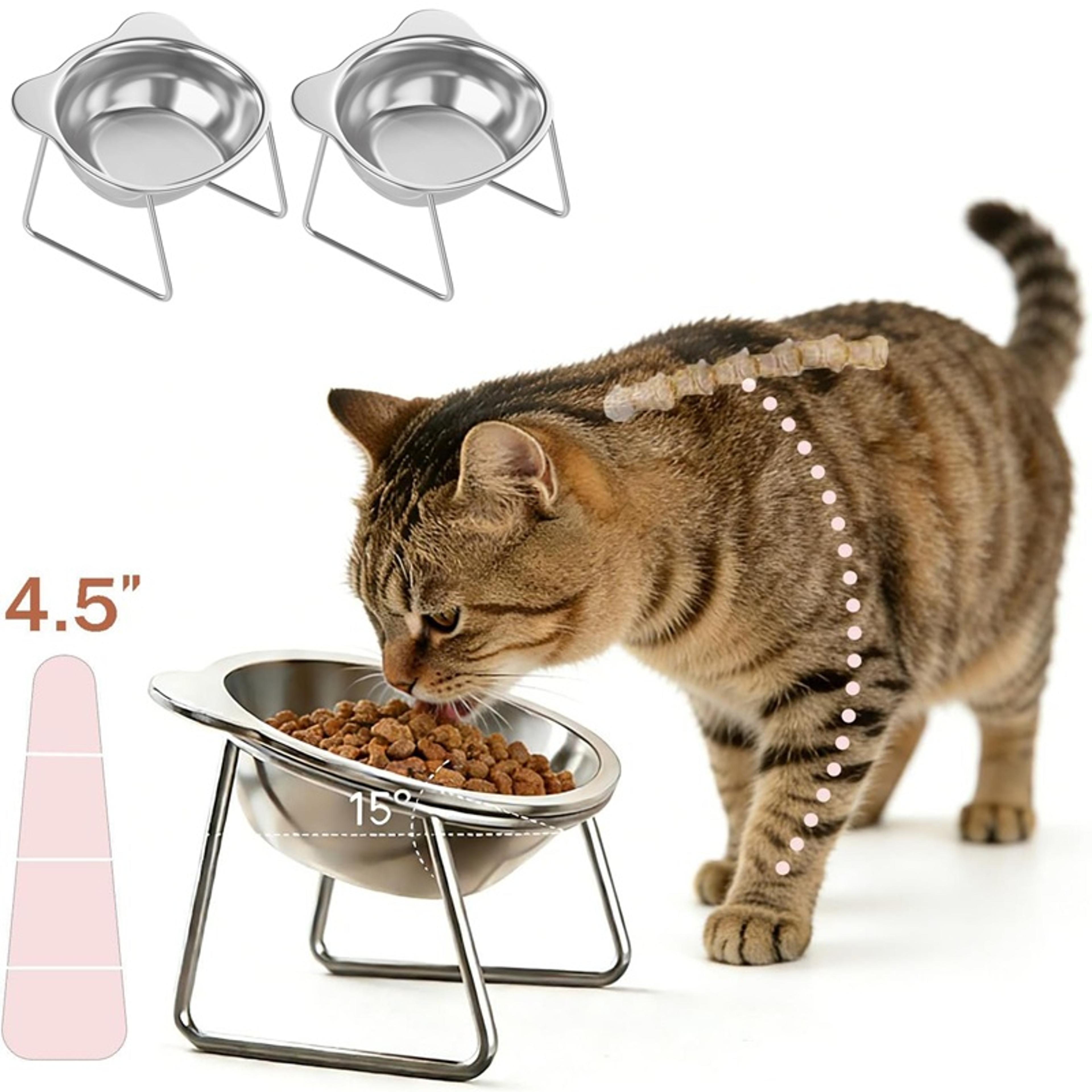 elevated cat feeding bowl with tilted stainless steel design for cats & small dogs