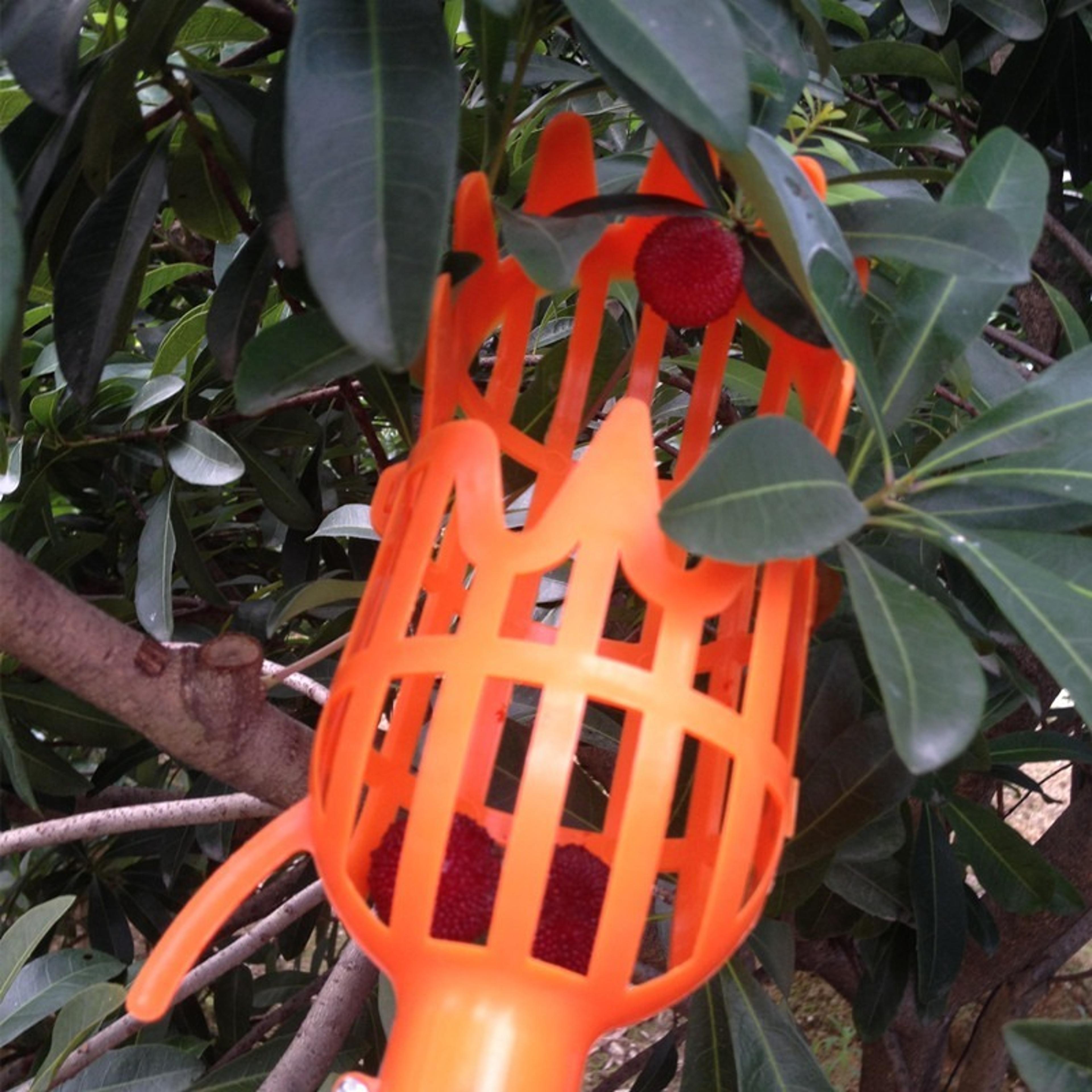 Fruit Picker Tool  Reusable Manual High Branch Fruit Harvesting Device 2