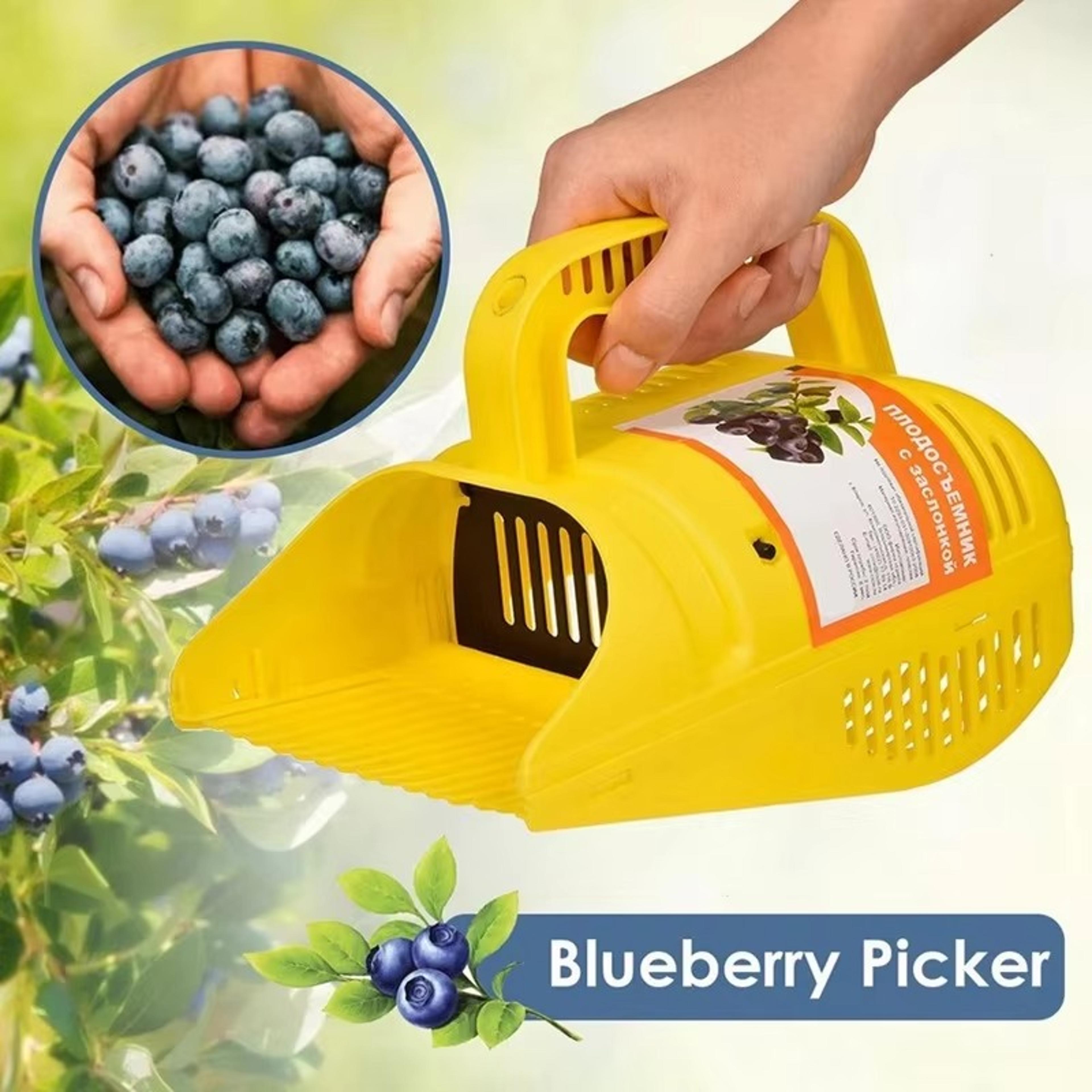 Blueberry Picker Rake With Comb Teeth  Lightweight Handheld Berry Harvesting Tool 2