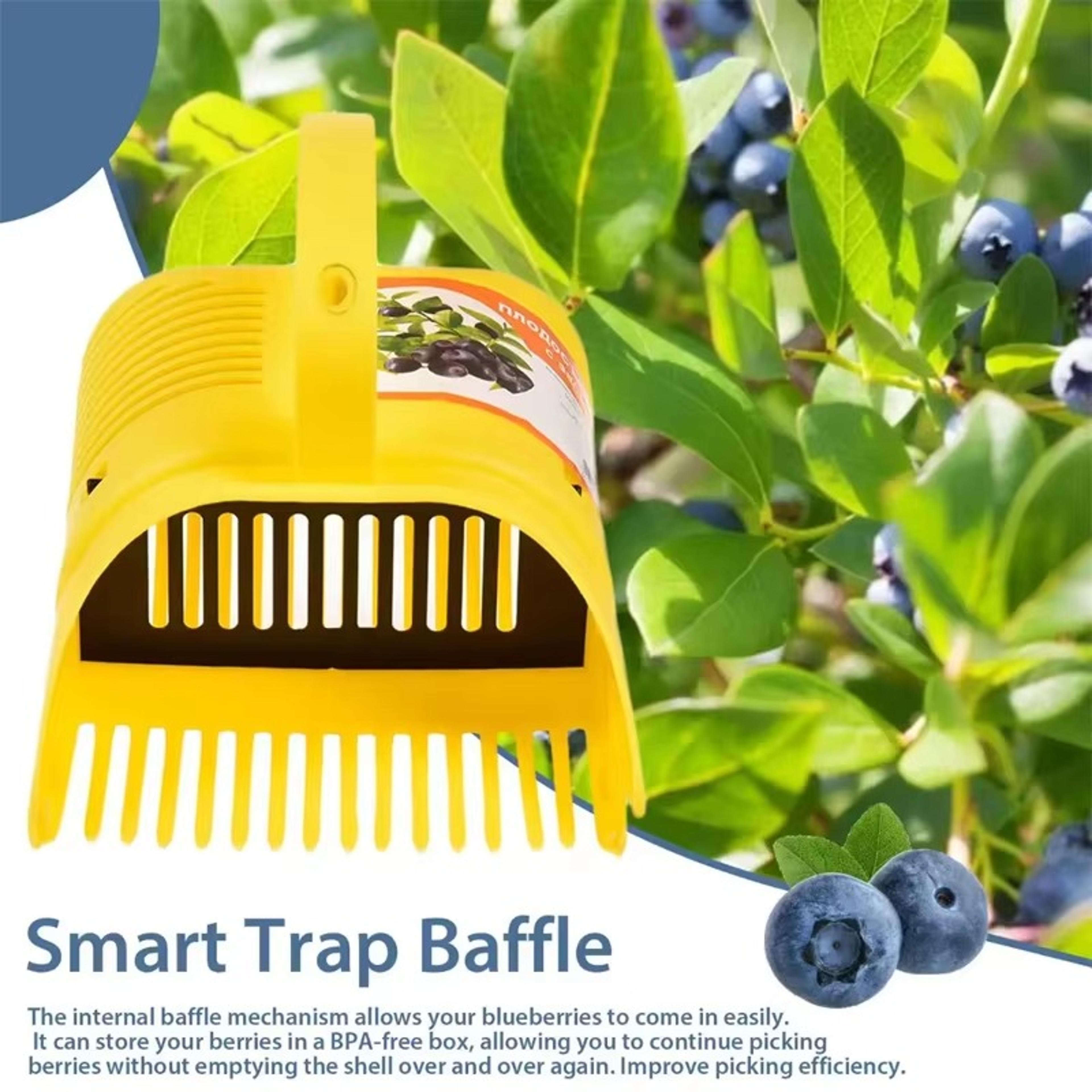 Blueberry Picker Rake With Comb Teeth  Lightweight Handheld Berry Harvesting Tool 4