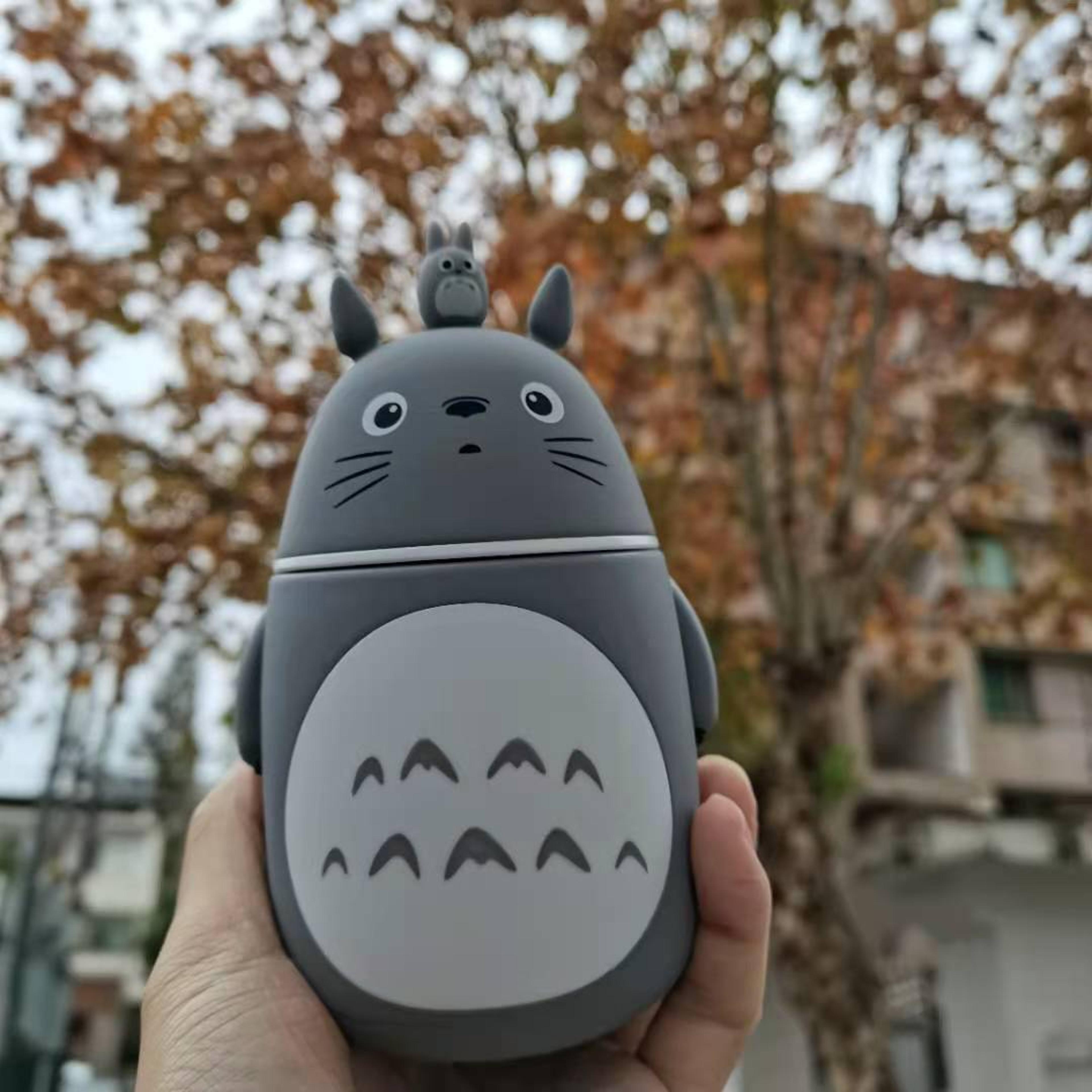 Kawaii Totoro Glass Cup Figurine Totoro Cup Collectible Anime Decor Gift 3