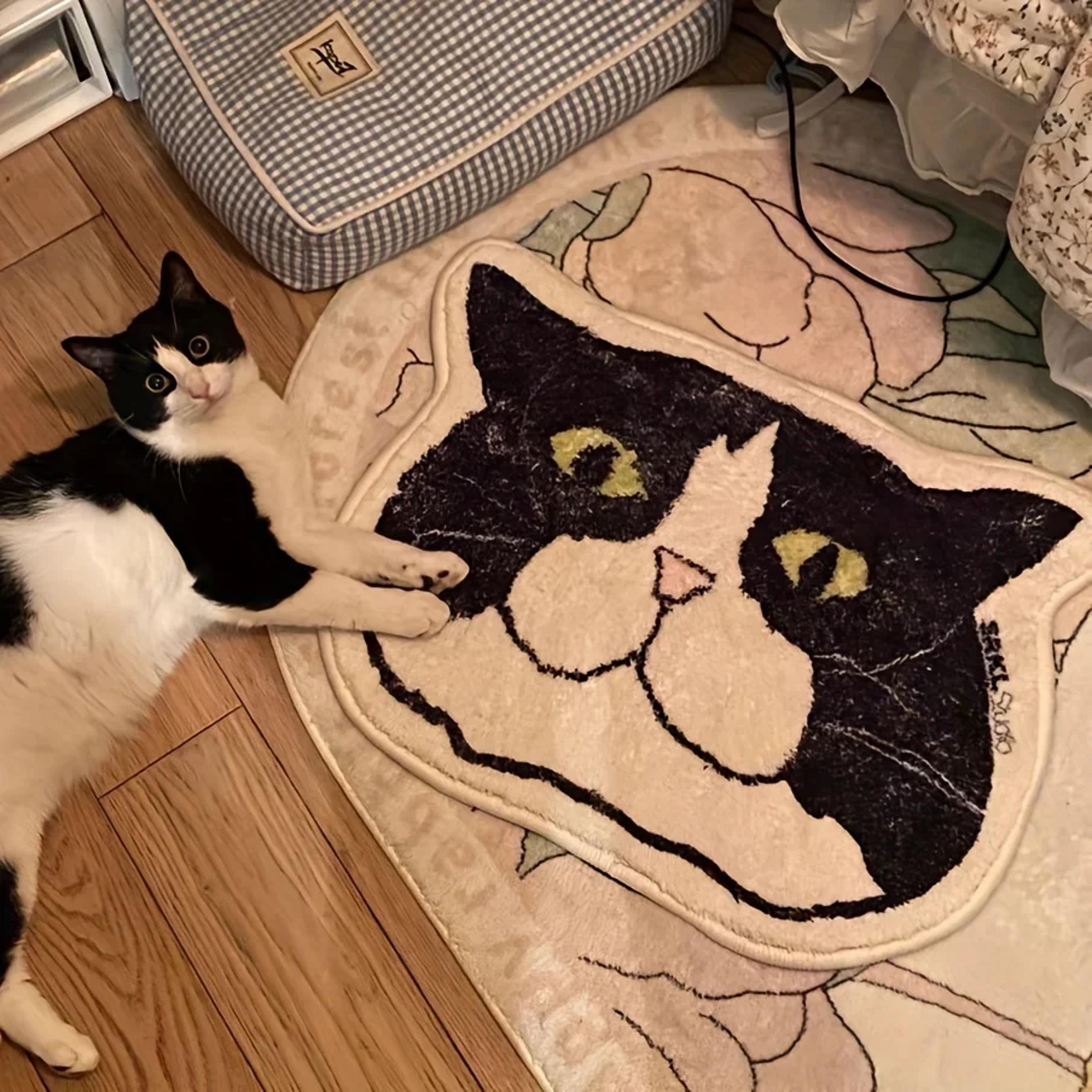Cute Cat Non Slip Floor Mat Waterproof Stain Resistant Pet Themed Bathroom Kitchen Rug 2