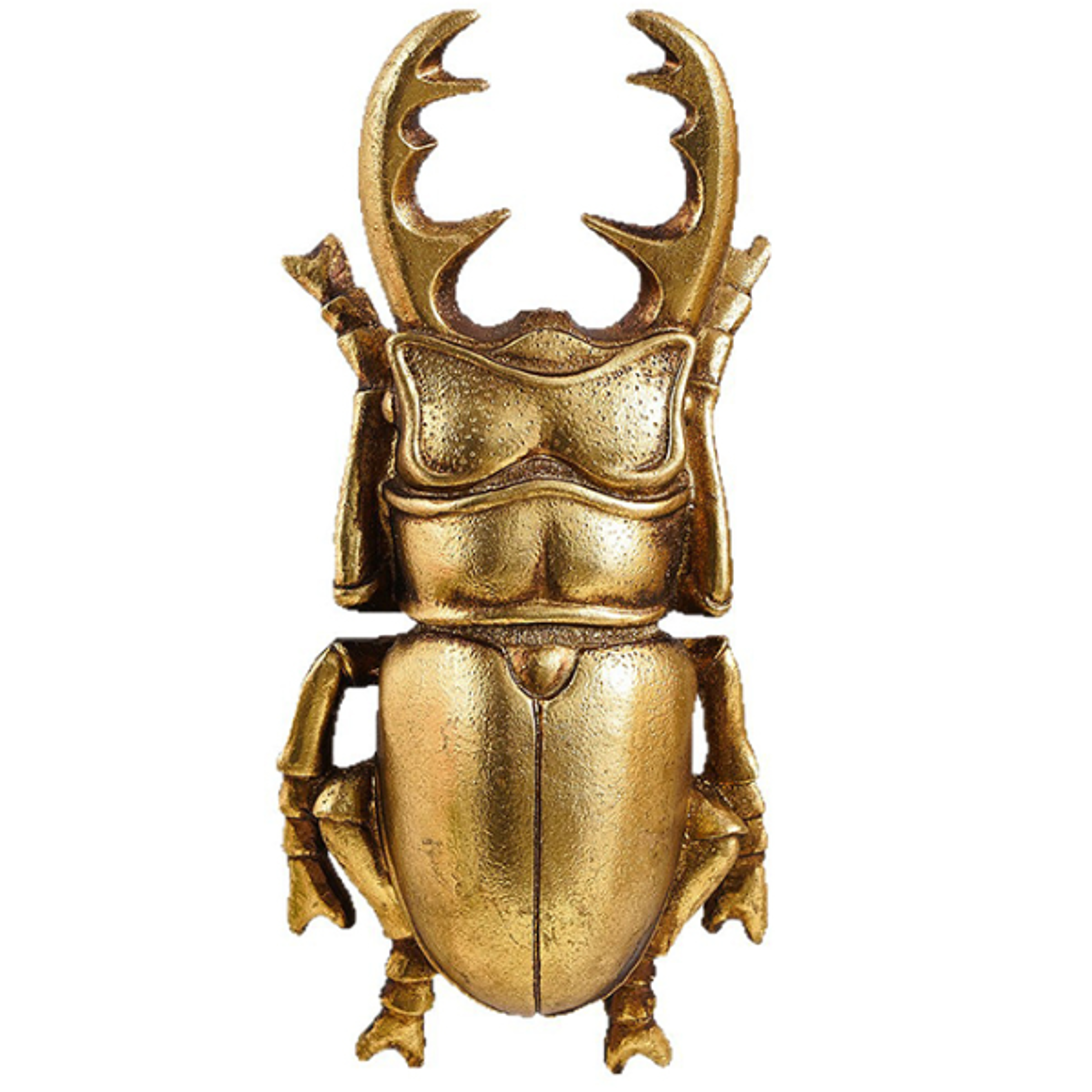 Golden Resin Beetle Wall Decor Sculpture for Living Room Artistic Insect Display