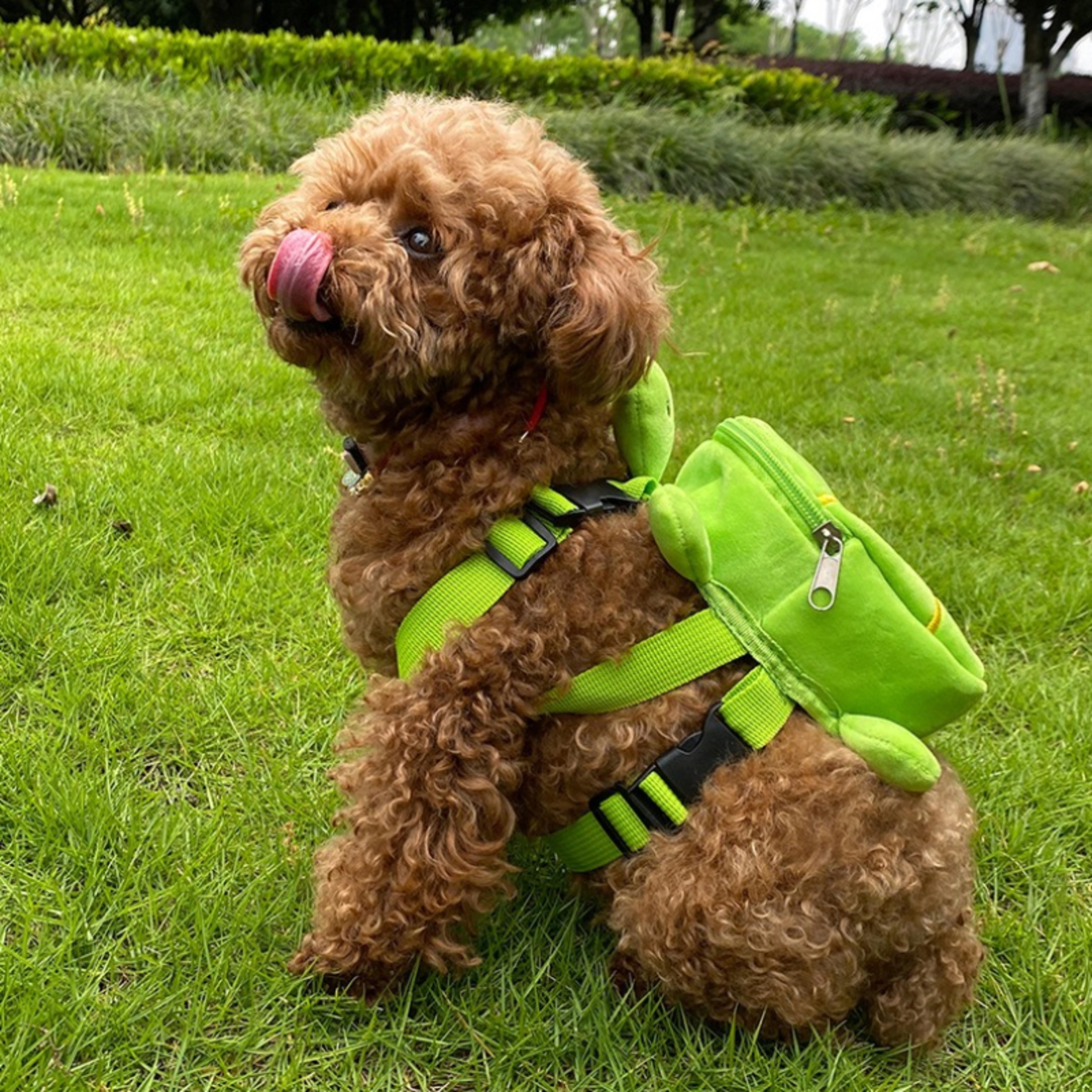 Cute Turtle Shape Dog Bag Pet Backpack Large Capacity Soft Snack Bag Puppy School Bag Convenient Po 5
