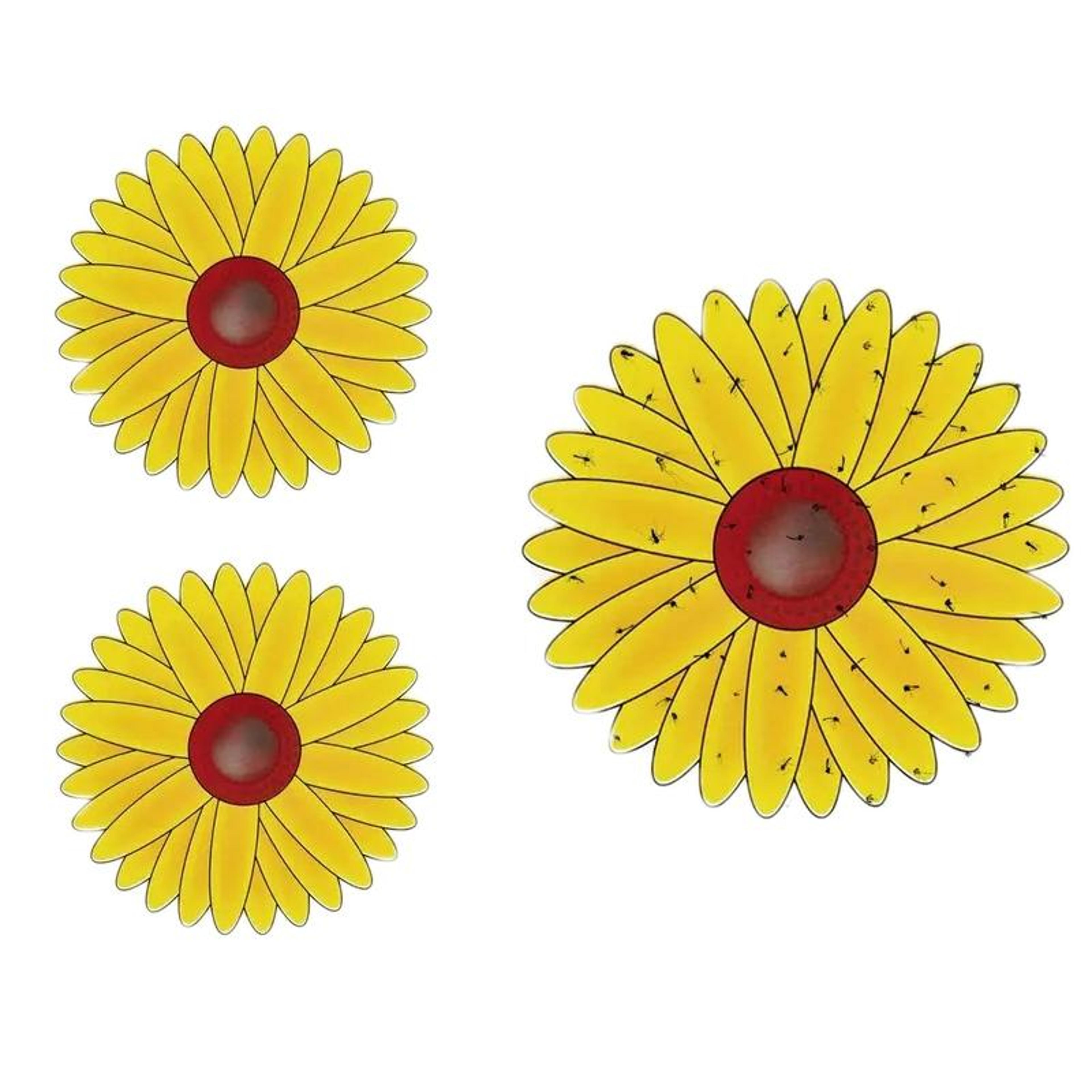 sunflower window fly traps non toxic sticky insect catcher stickers