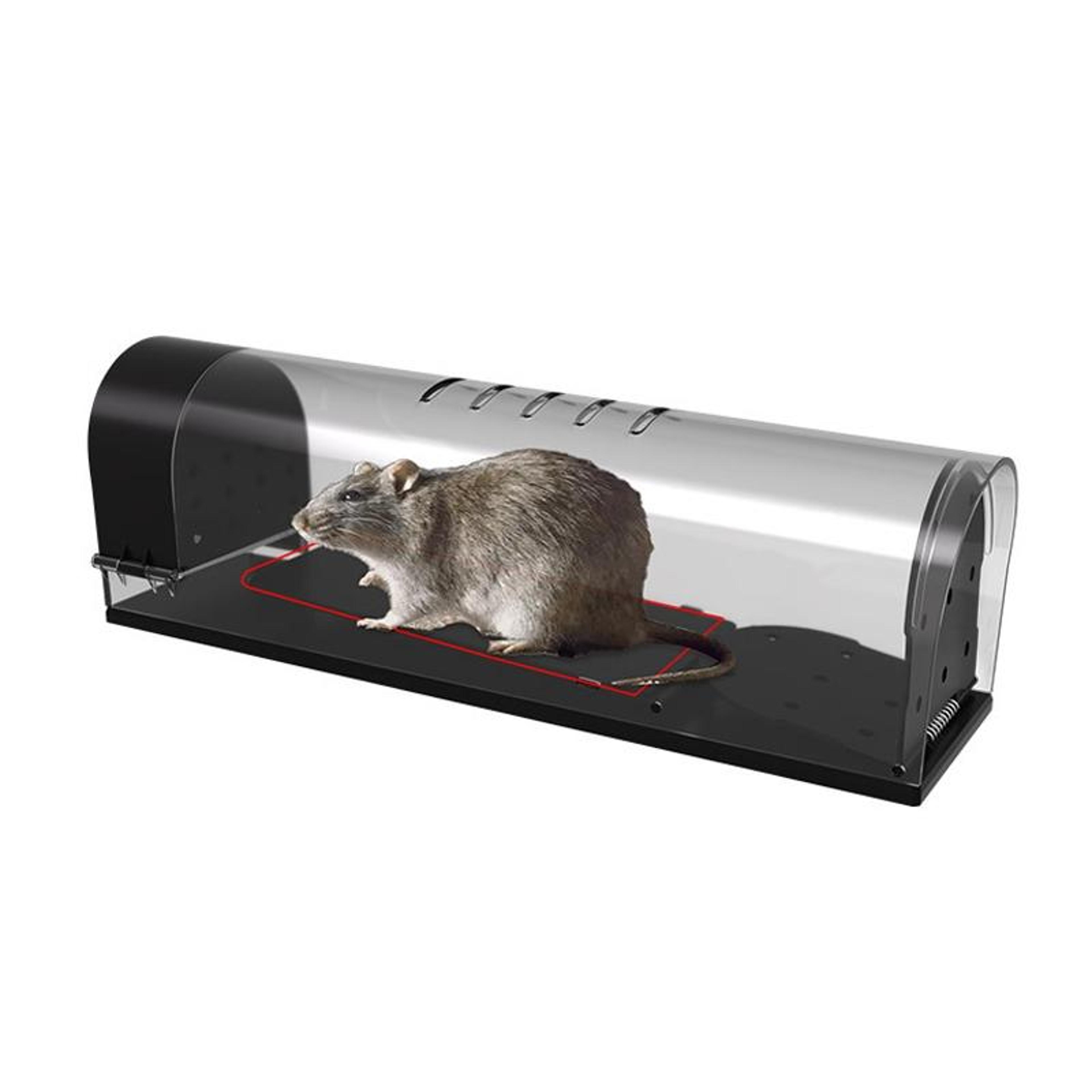 safecatch transparent mouse trap with sensitive trigger & reusable rodent control cage