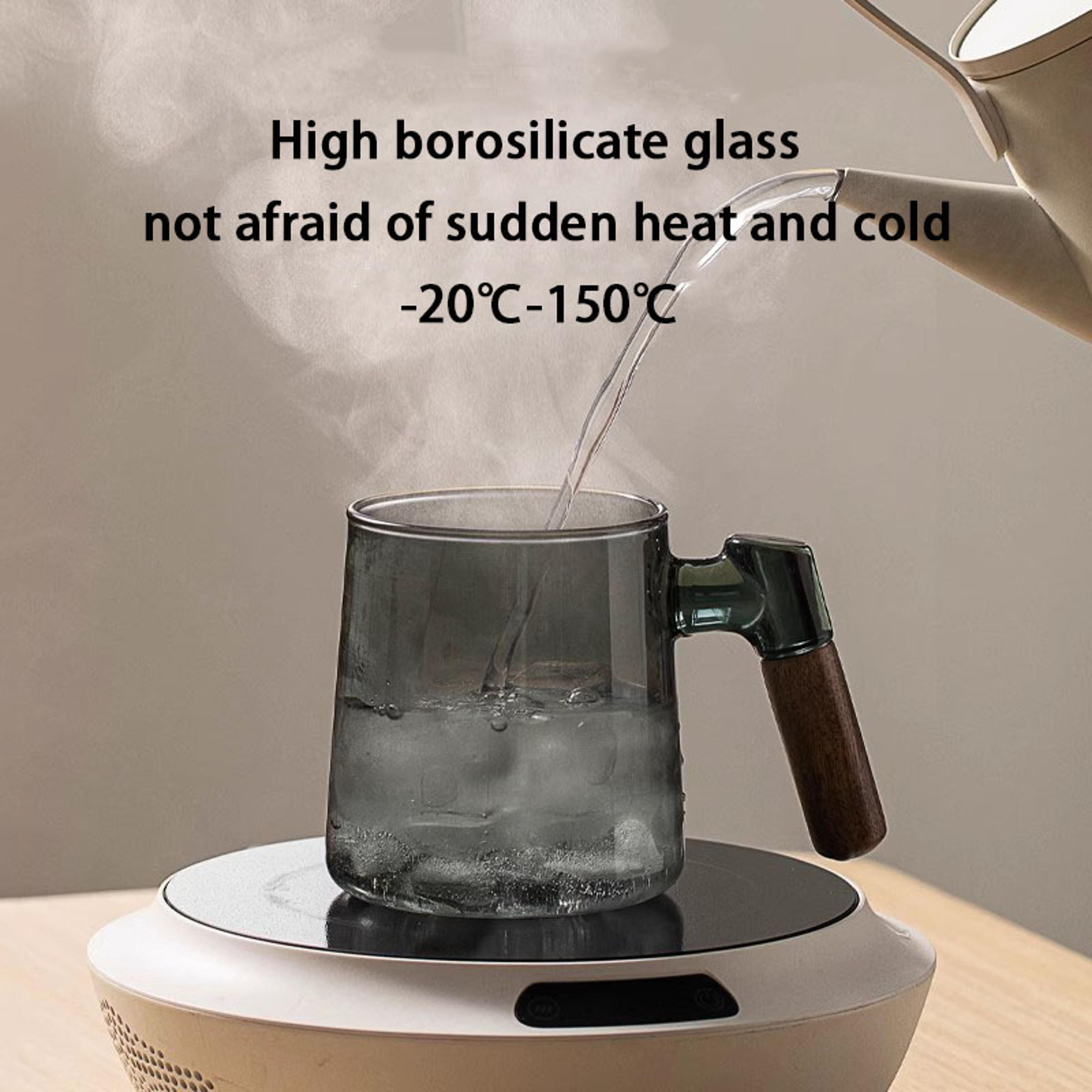 Borosilicate Glass Tea Cup With Infuser Steeper And Lid For Loose Leaf Tea Filter Mug Wood Handle F 3