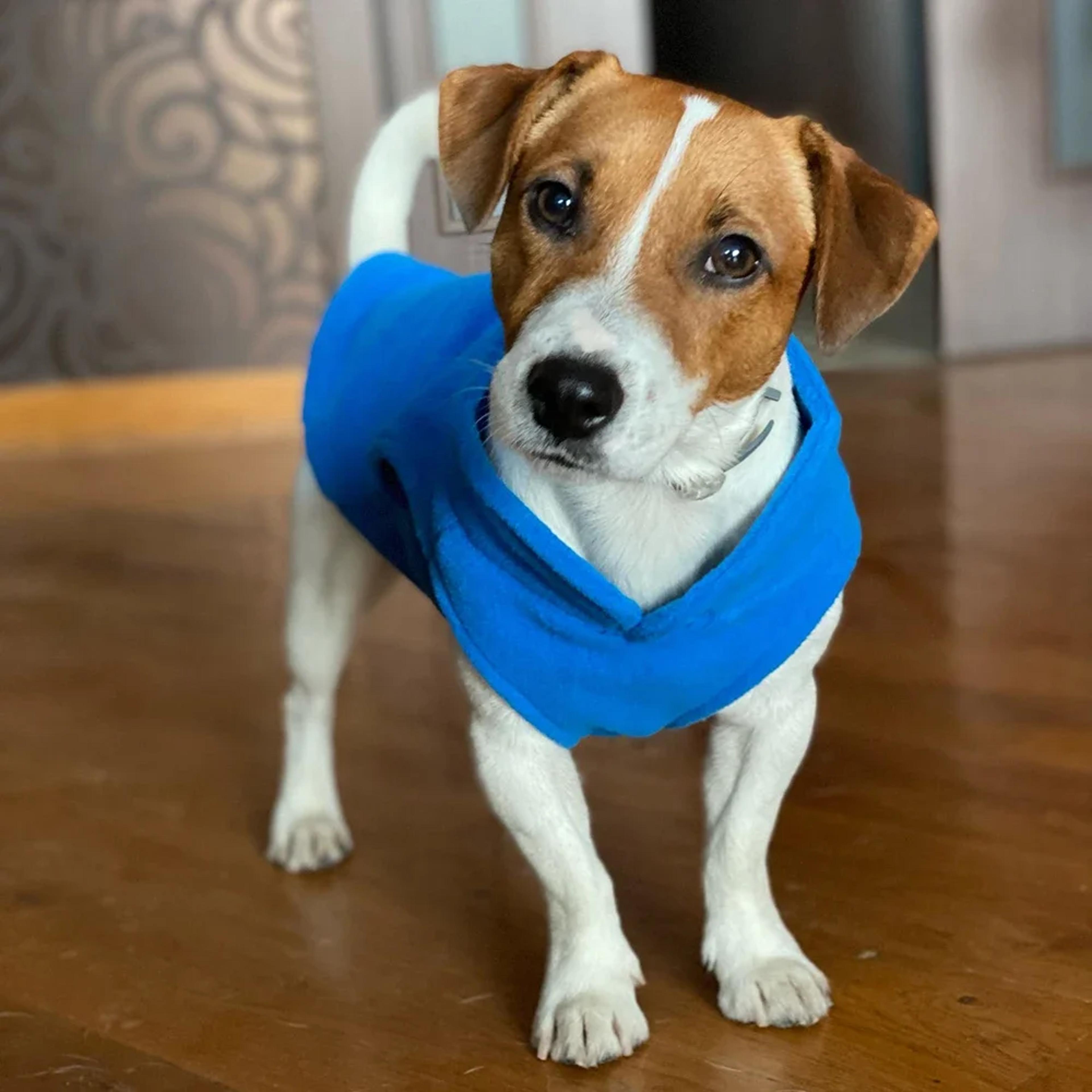 fleece winter pet clothes for small dogs, cozy t-shirt for yorkshire, chihuahua, french bulldog, poodle & cats
