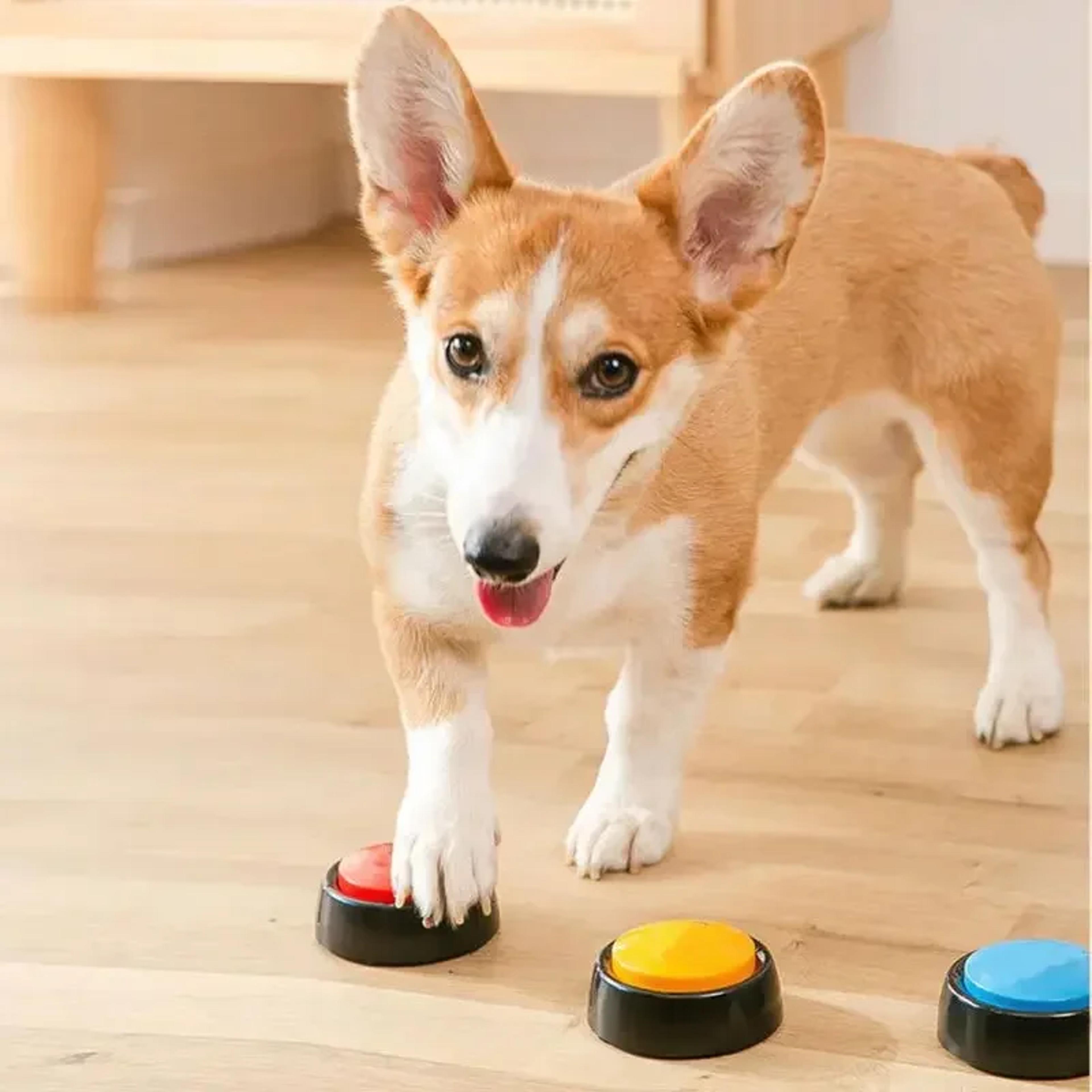 recordable pet sound box talking button for cat & dog training