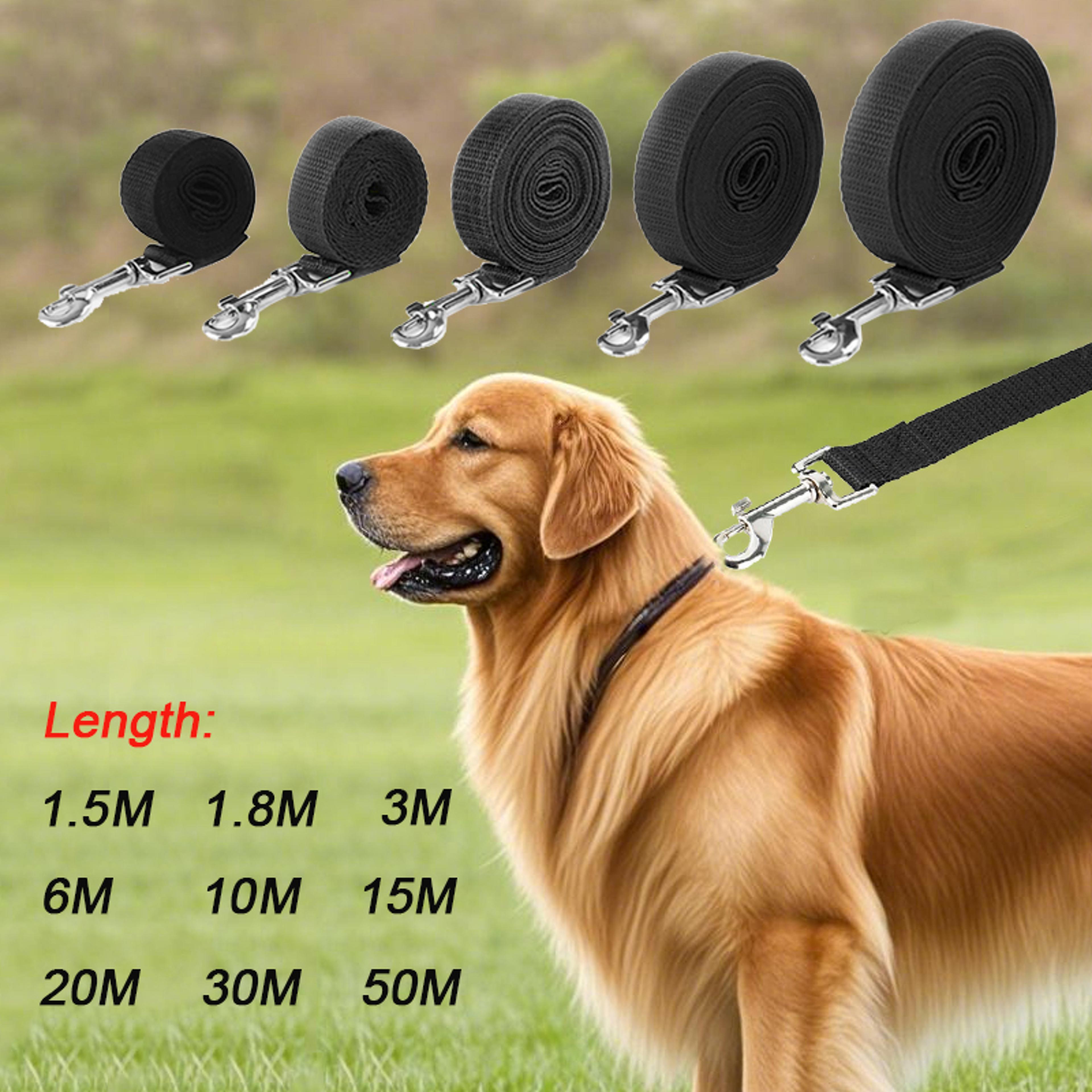 extra long 20m dog training leash, durable nylon rope lead for recall, obedience, and outdoor adventures with large dog