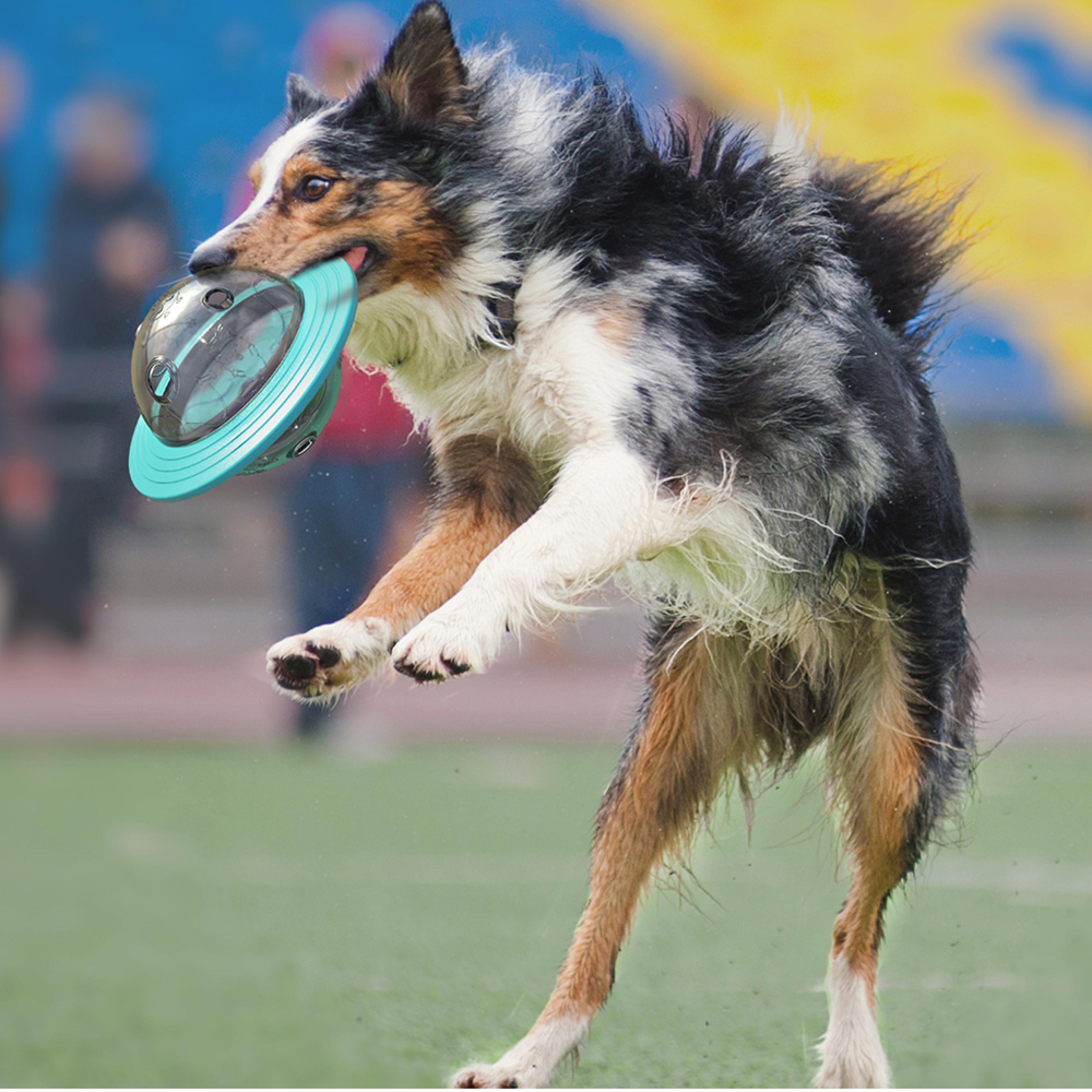 interactive dog toy with fly disk & food dispenser, improve iq, slow feeding, and training for small, medium, and large
