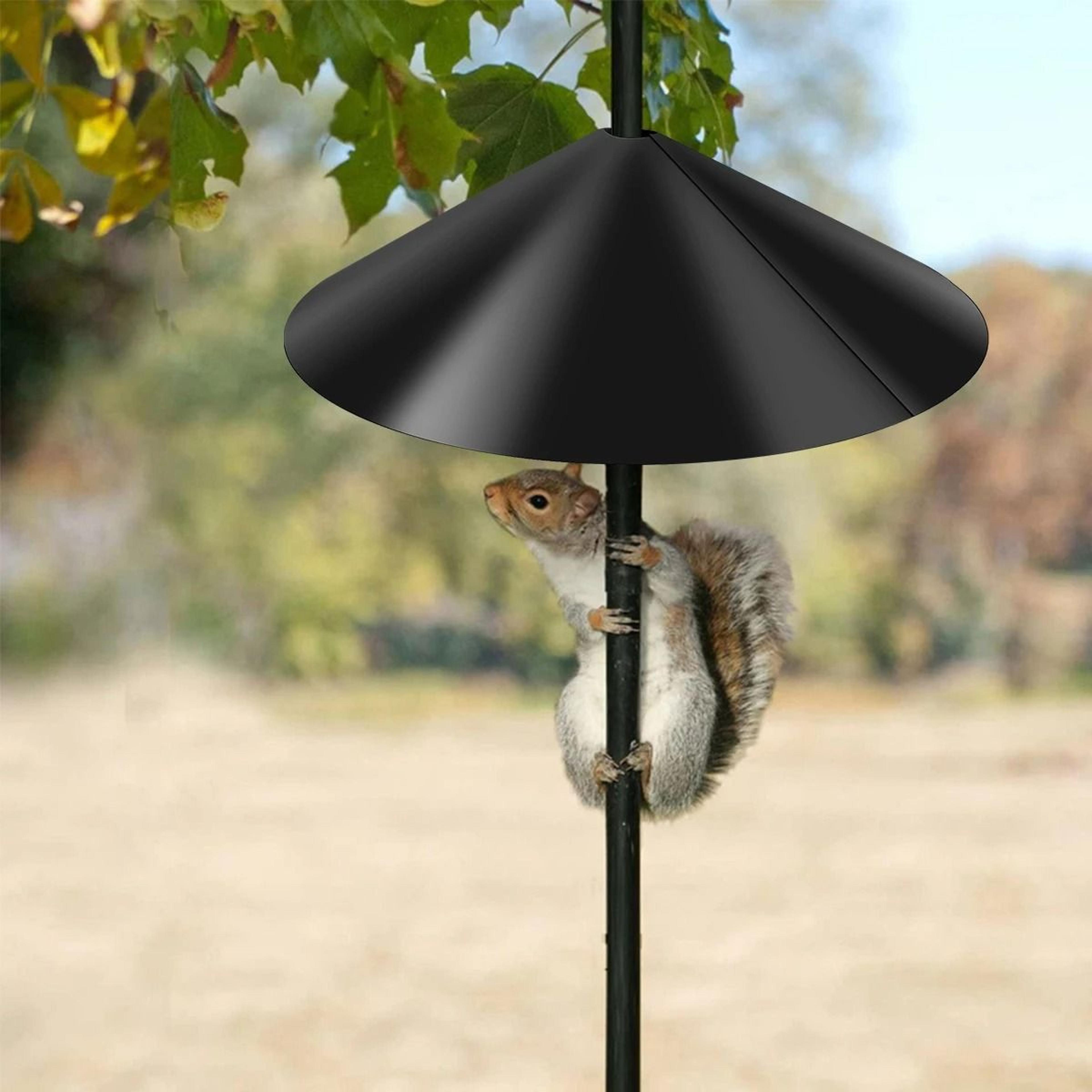 durable plastic outdoor squirrel baffle, wrap-around protection for bird feeders and houses
