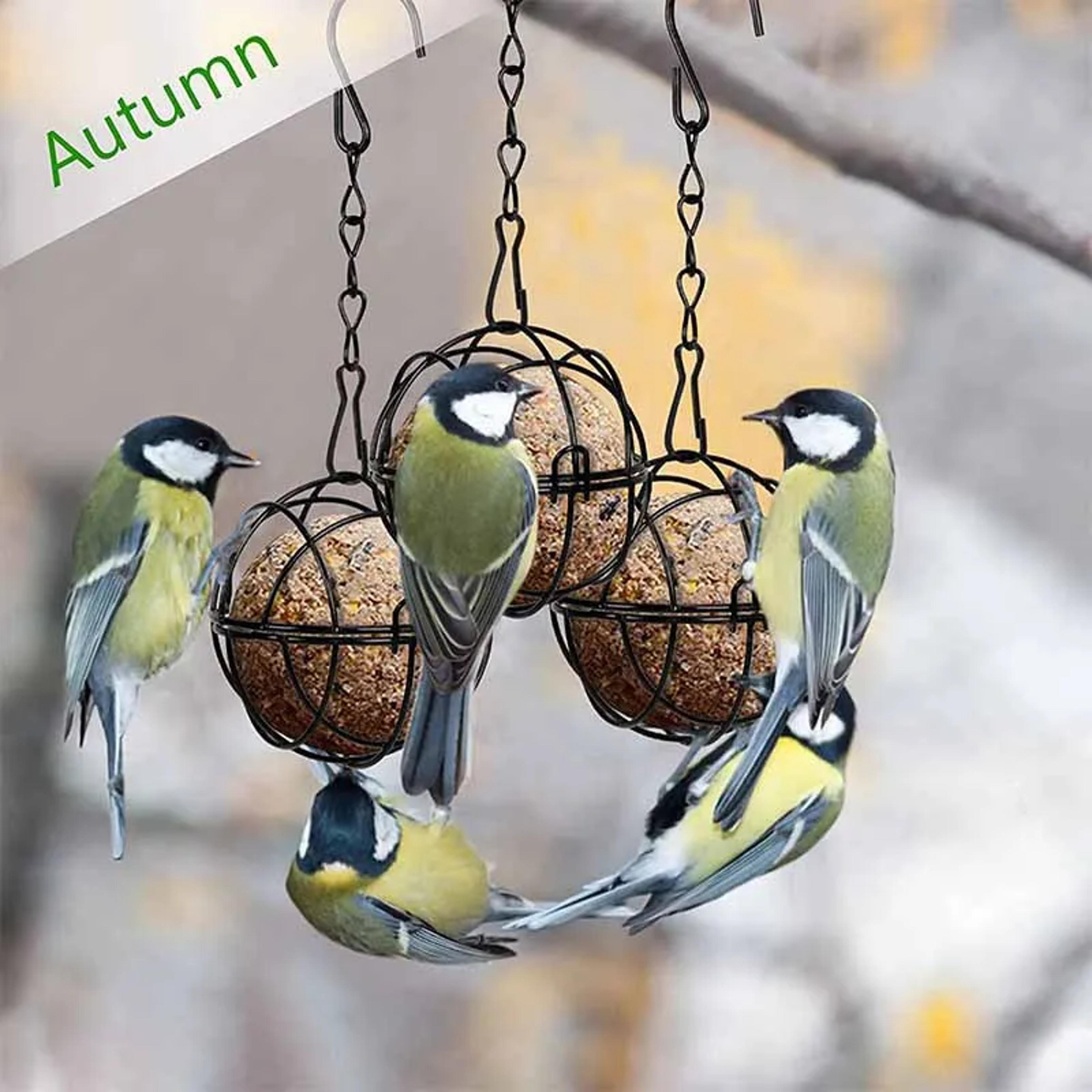 squirrel proof metal suet ball bird feeder with chain, outdoor garden hanging feeder for wild birds & hummingbirds