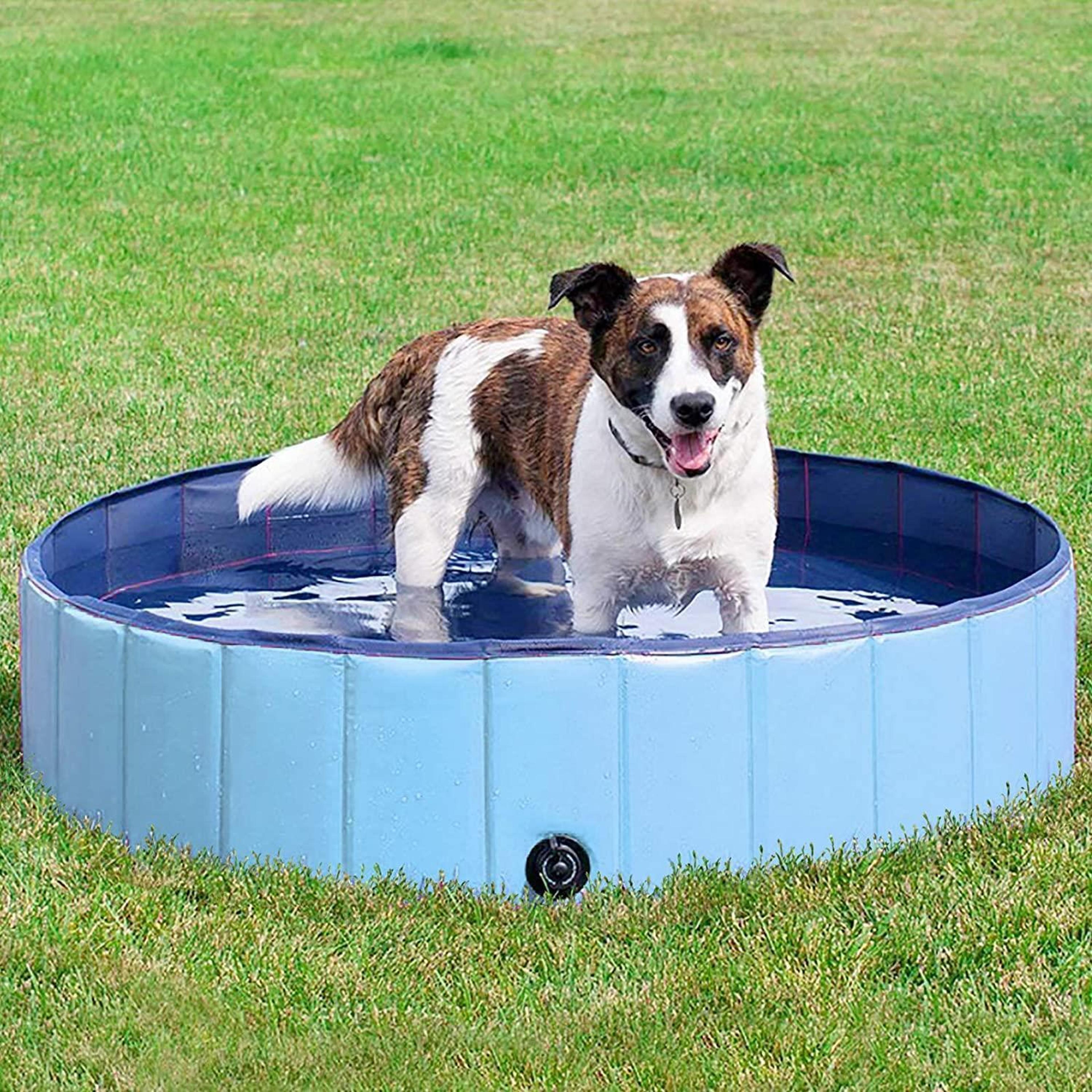 outdoor collapsible portable paw pool for dogs & cats