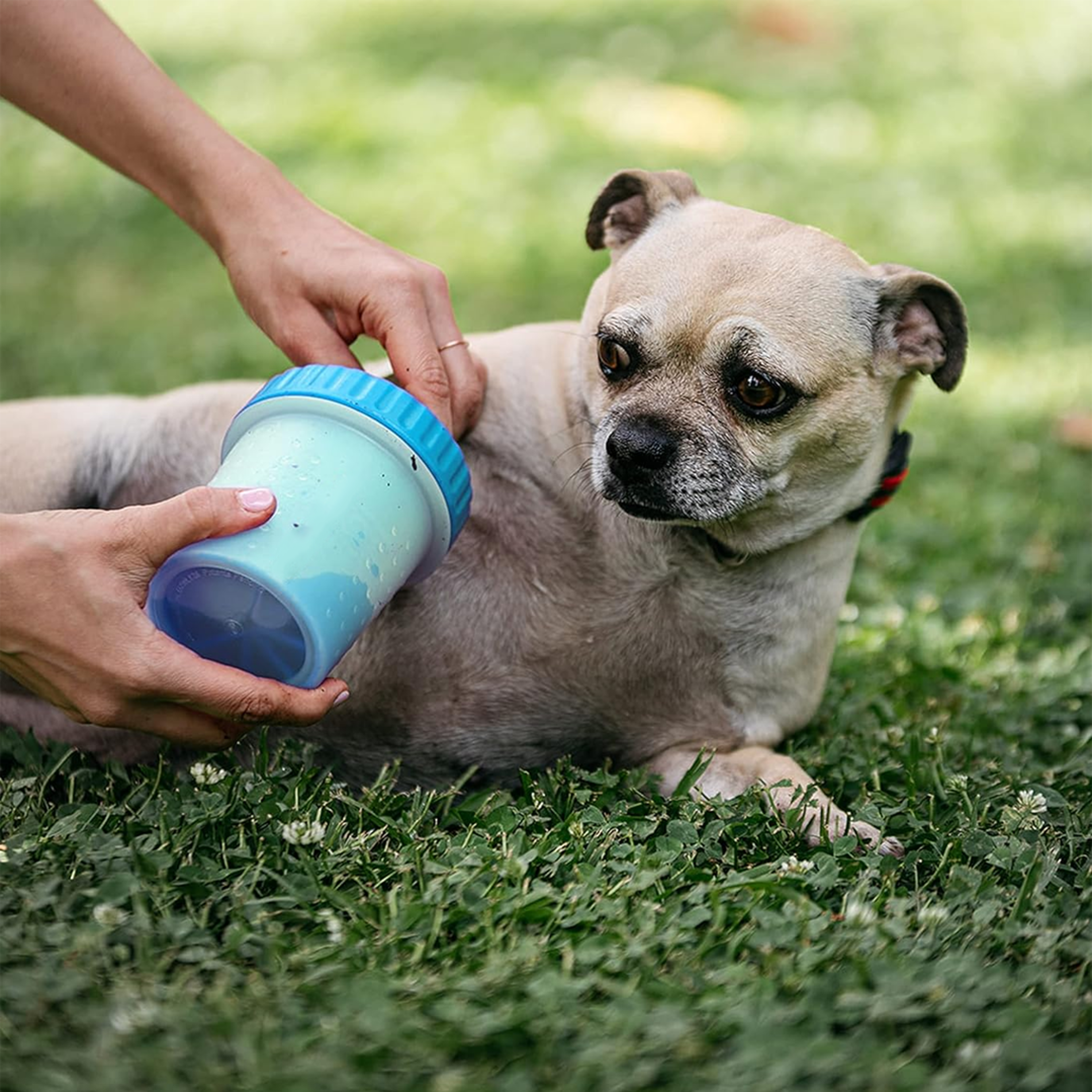 Pet Paw Cleaner