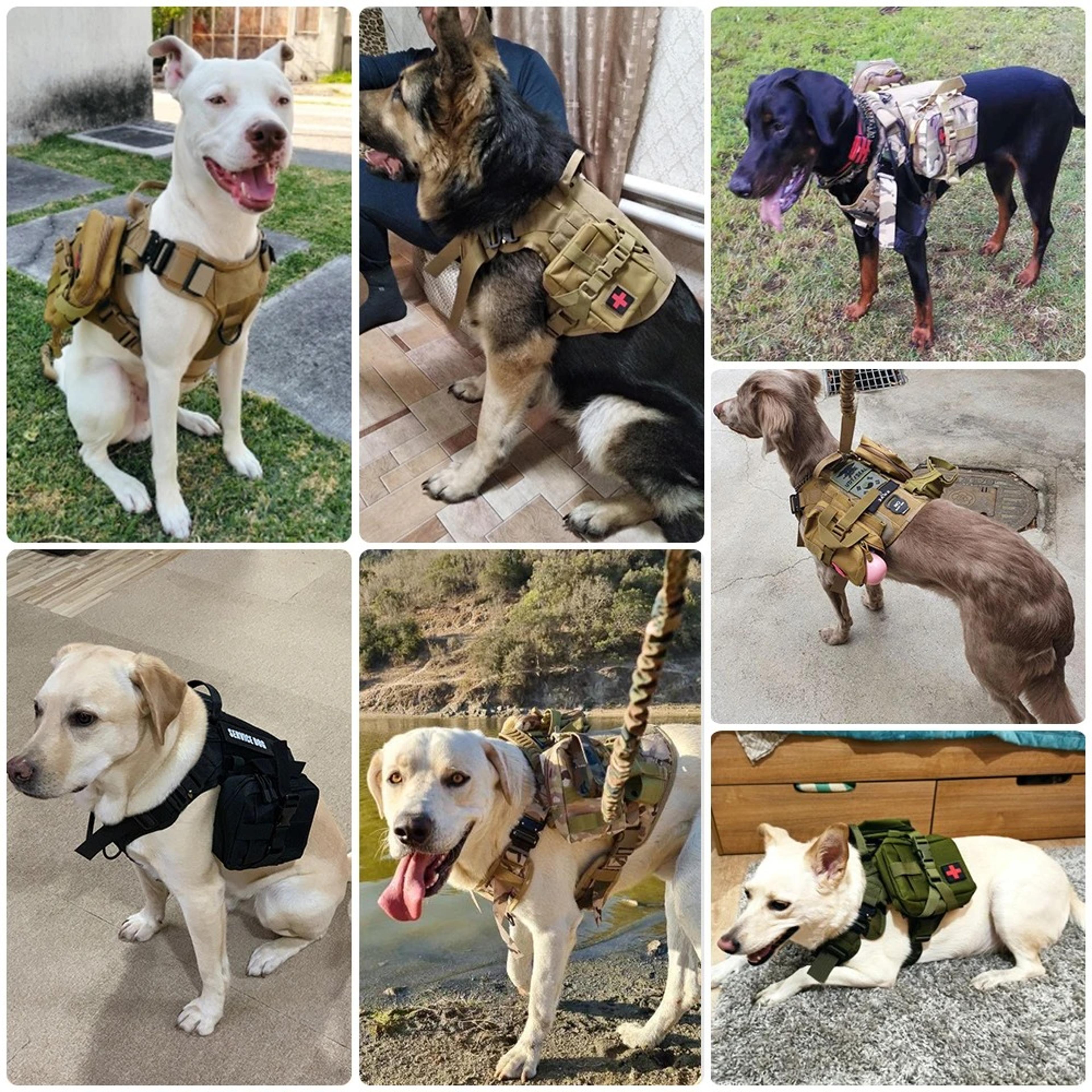 military-grade large dog harness & leash set – tactical training vest for german shepherds & k9s