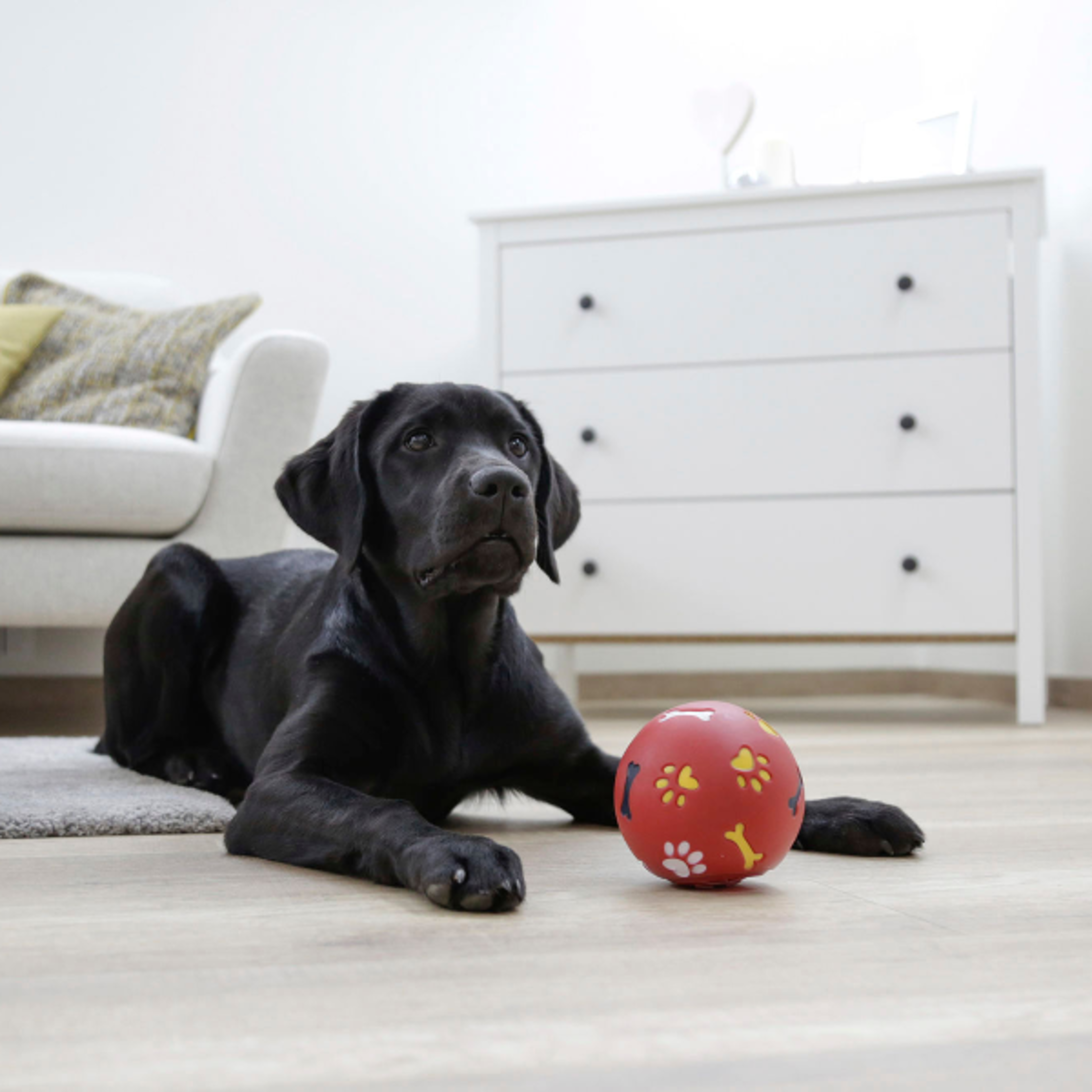 interactive dog treat dispensing chew ball – durable rubber pet toy