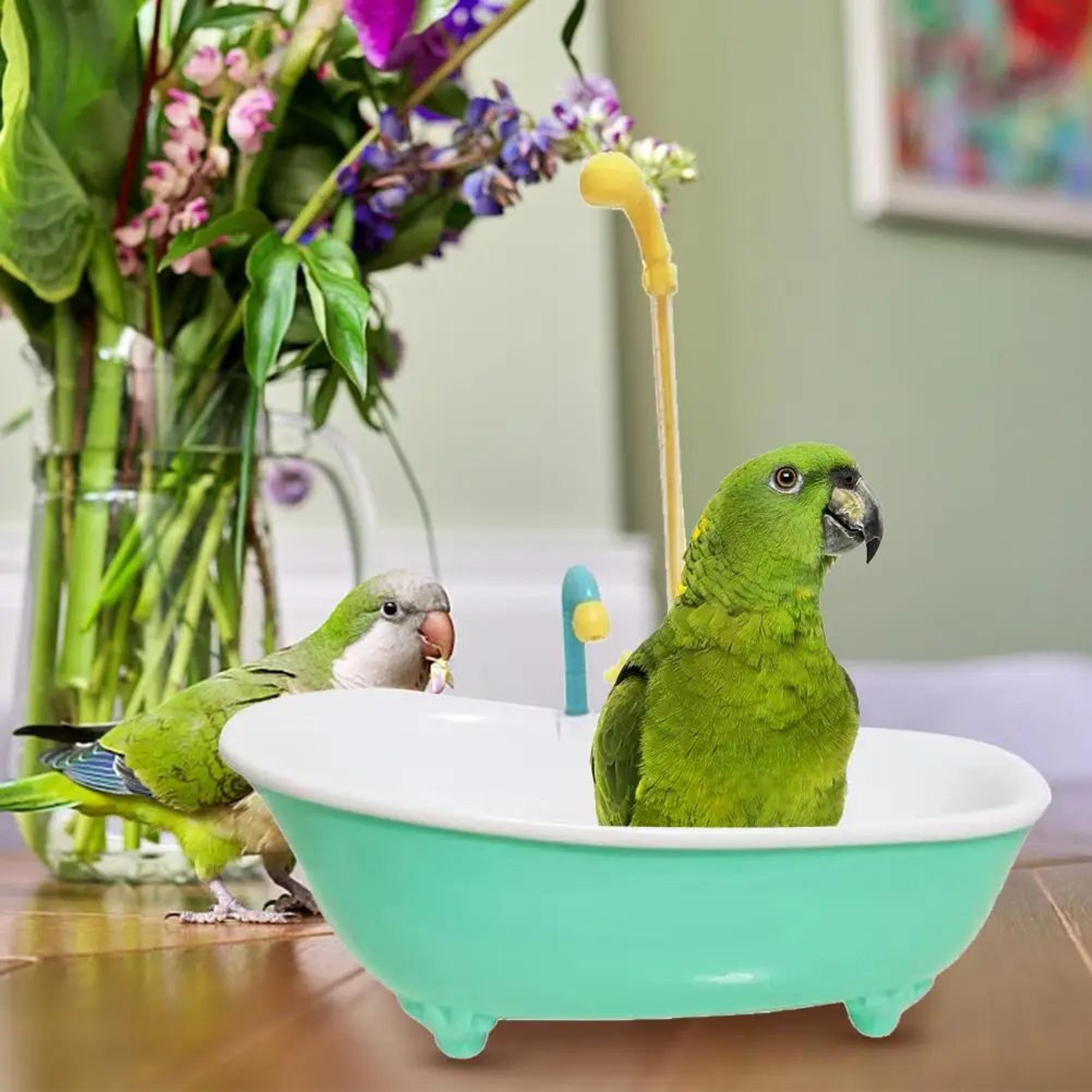 pet bird bath paddling pool automatic parrot shower bathtub with cage feeder accessories & summer toys for birds
