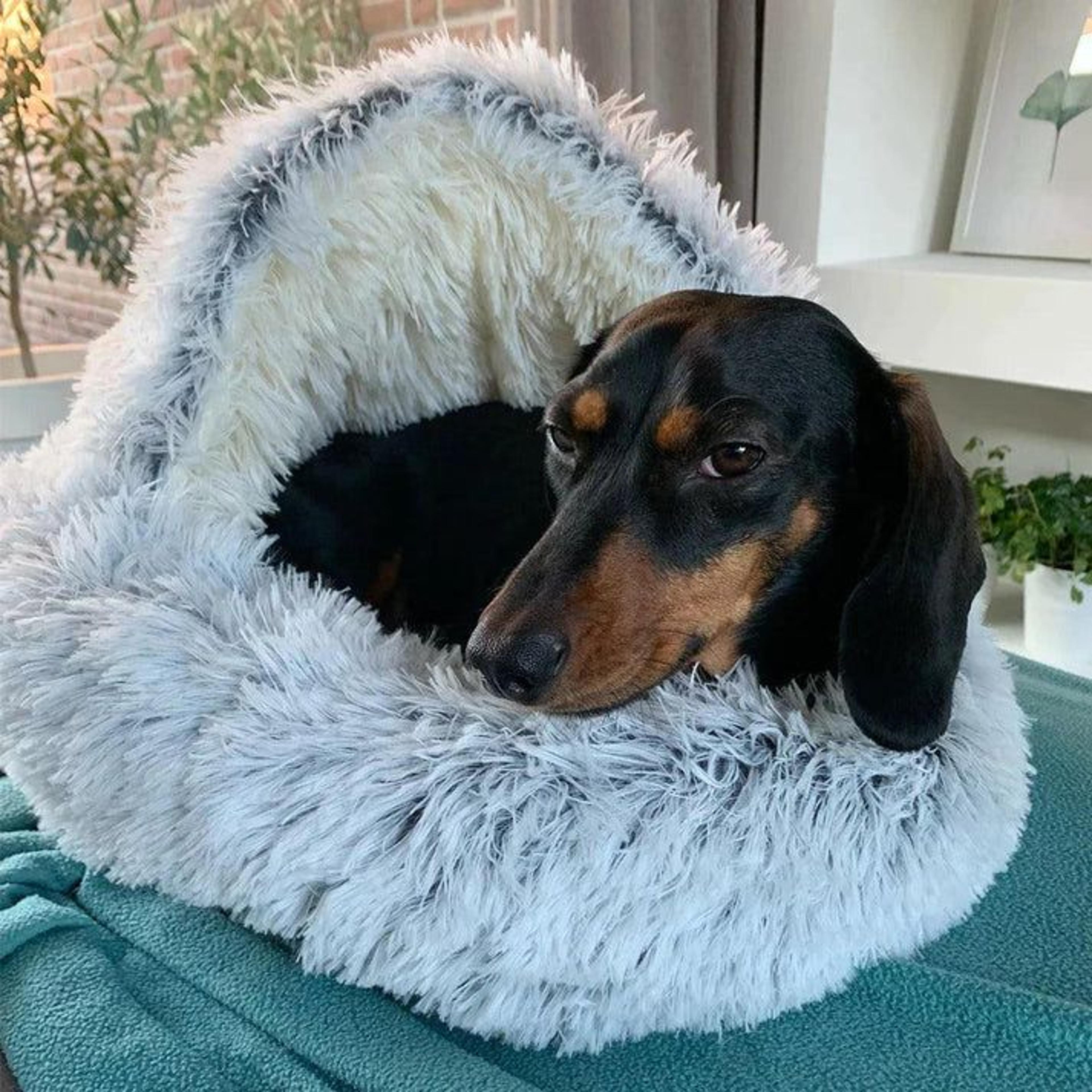 cosycave comfort dog bed, soft plush pet bed for deep rest & joint support