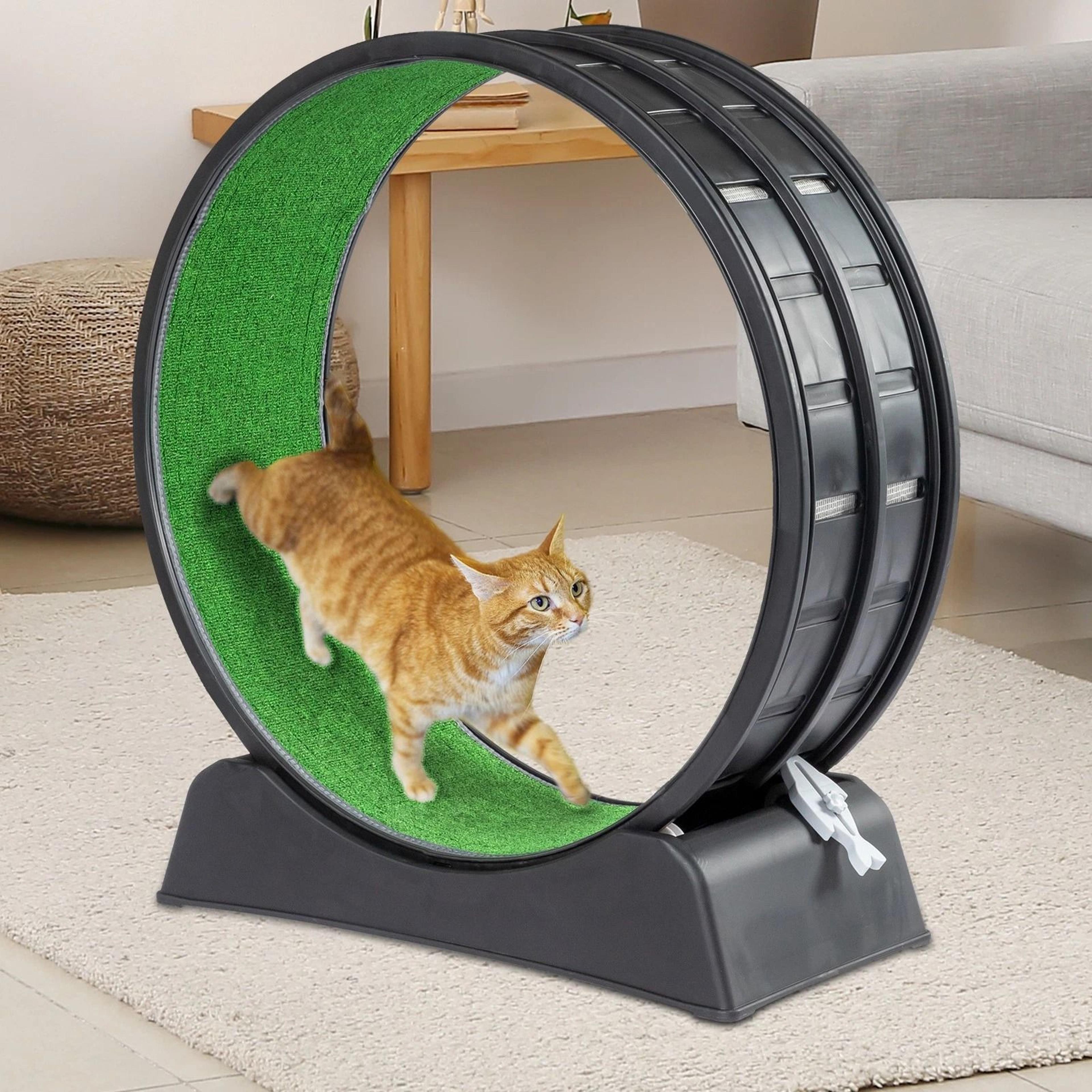 cat exercise wheel, cat wheels for indoor cats, cat treadmill wheel exerciser with carpeted runway, cat running wheel