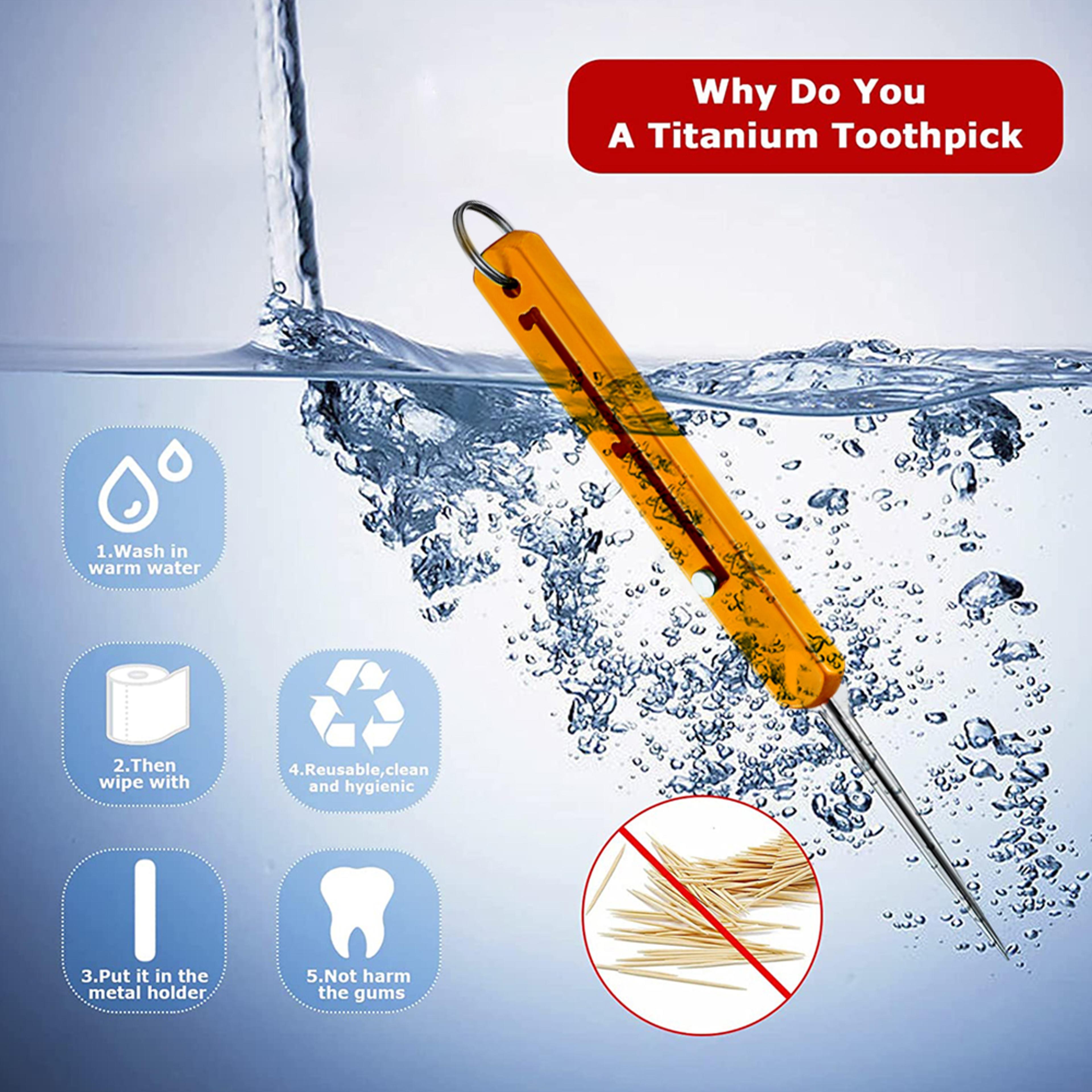 Portable Titanium Toothpick Keychain Reusable Metal Fruit Pick 2