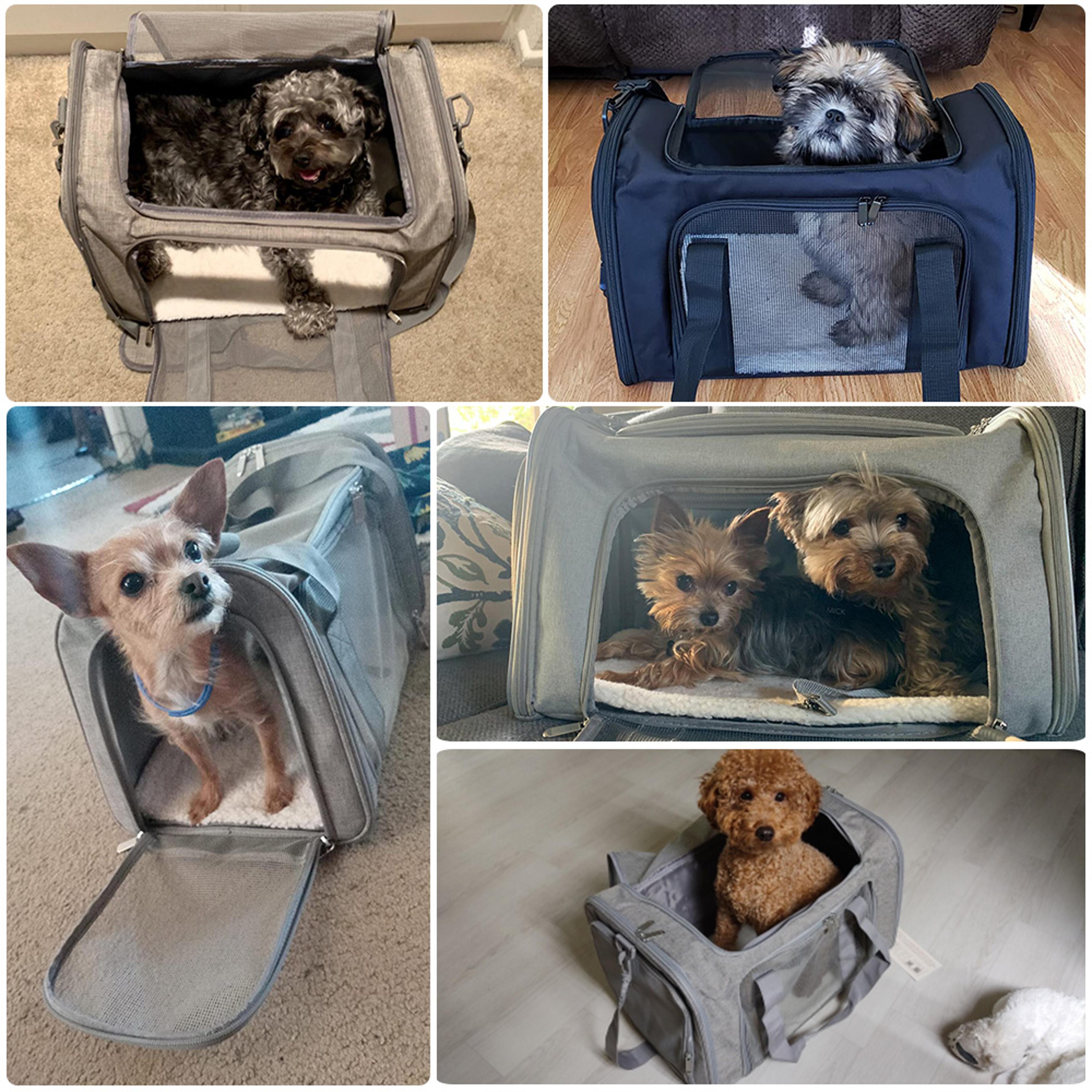 Cat Pet Carriers Dog Travel Bags Airline Approved Soft Side Dog Carrier Backpack Portable Travel Tr 5
